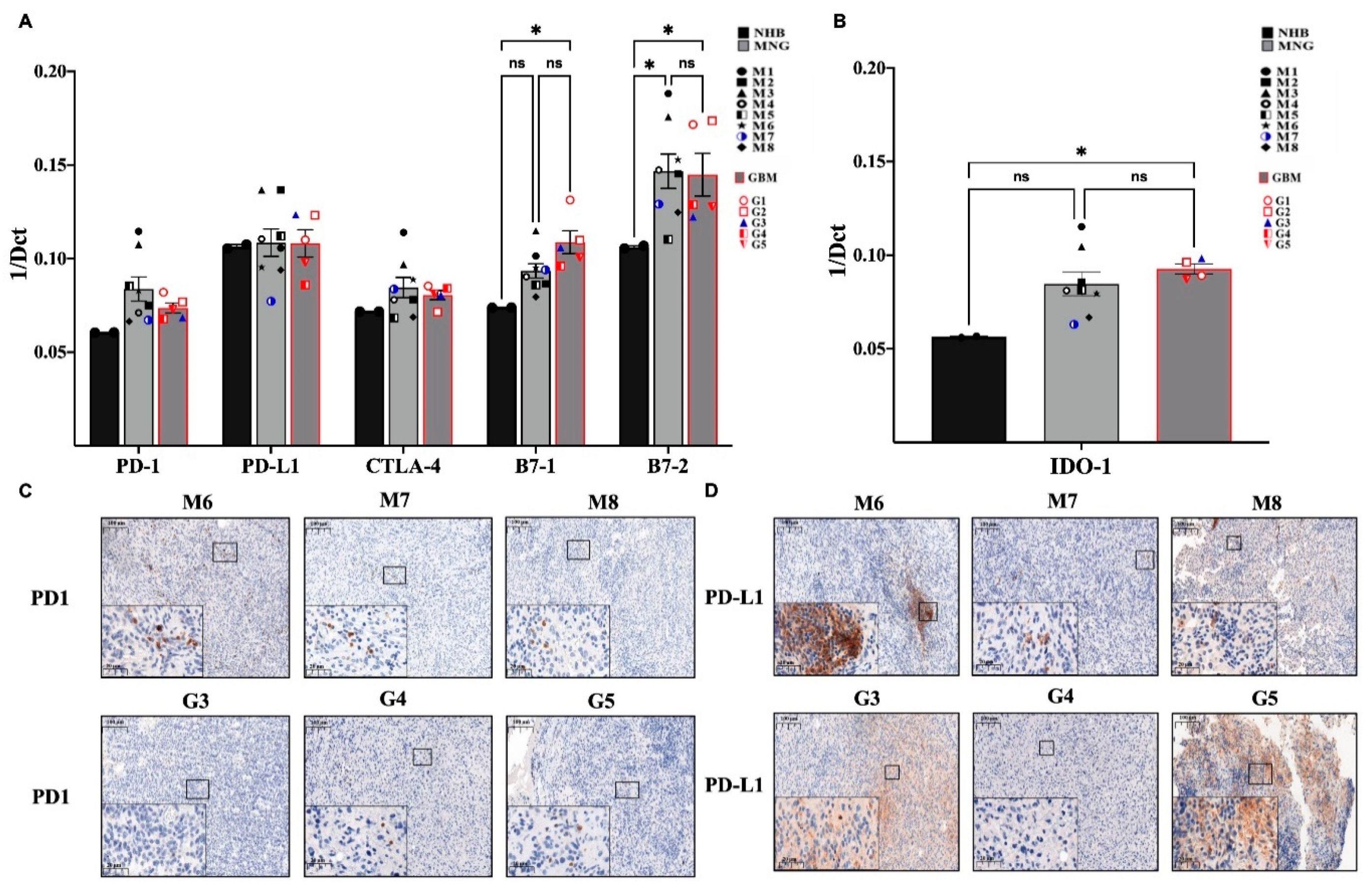 Pathophysiology 28 00004 g004 Pathophysiology 28 00004 g004