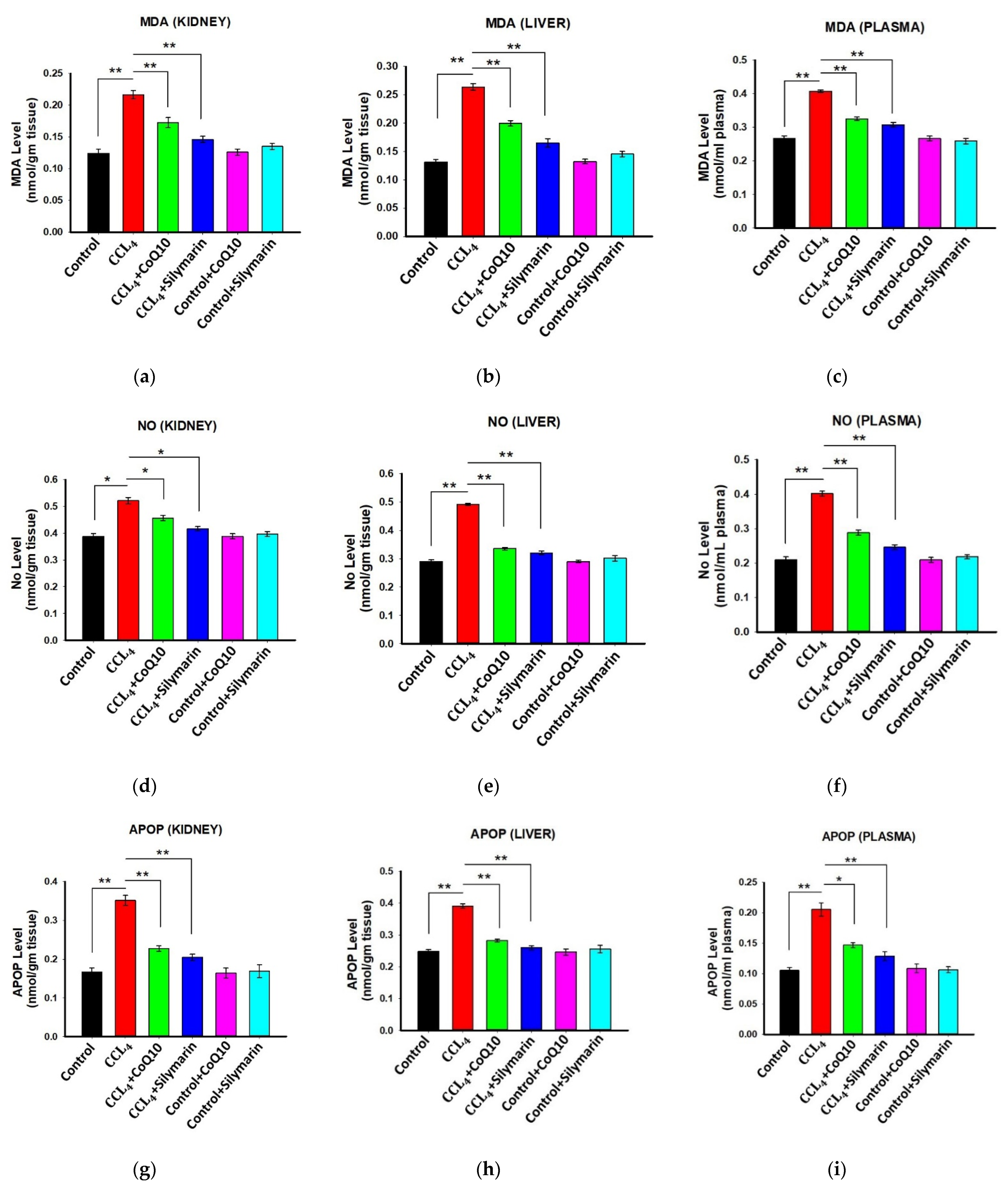 Pathophysiology 28 00005 g002 Pathophysiology 28 00005 g002