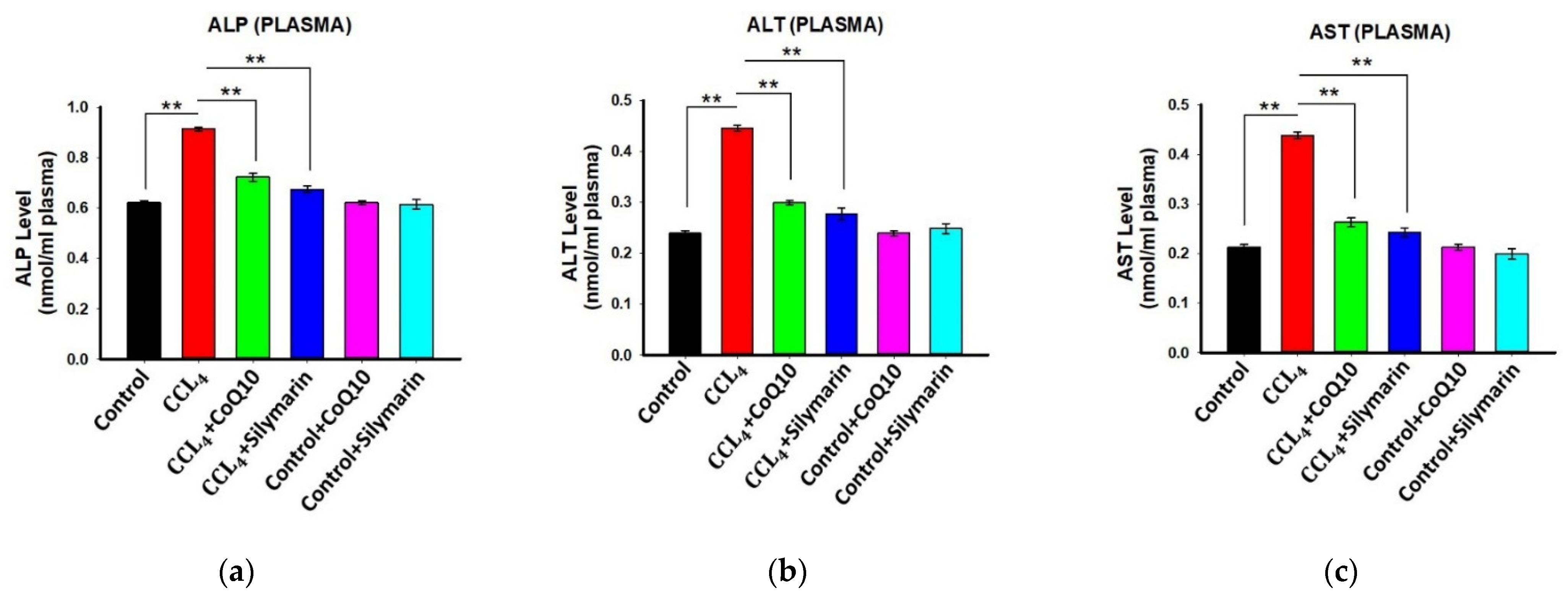 Pathophysiology 28 00005 g004 Pathophysiology 28 00005 g004