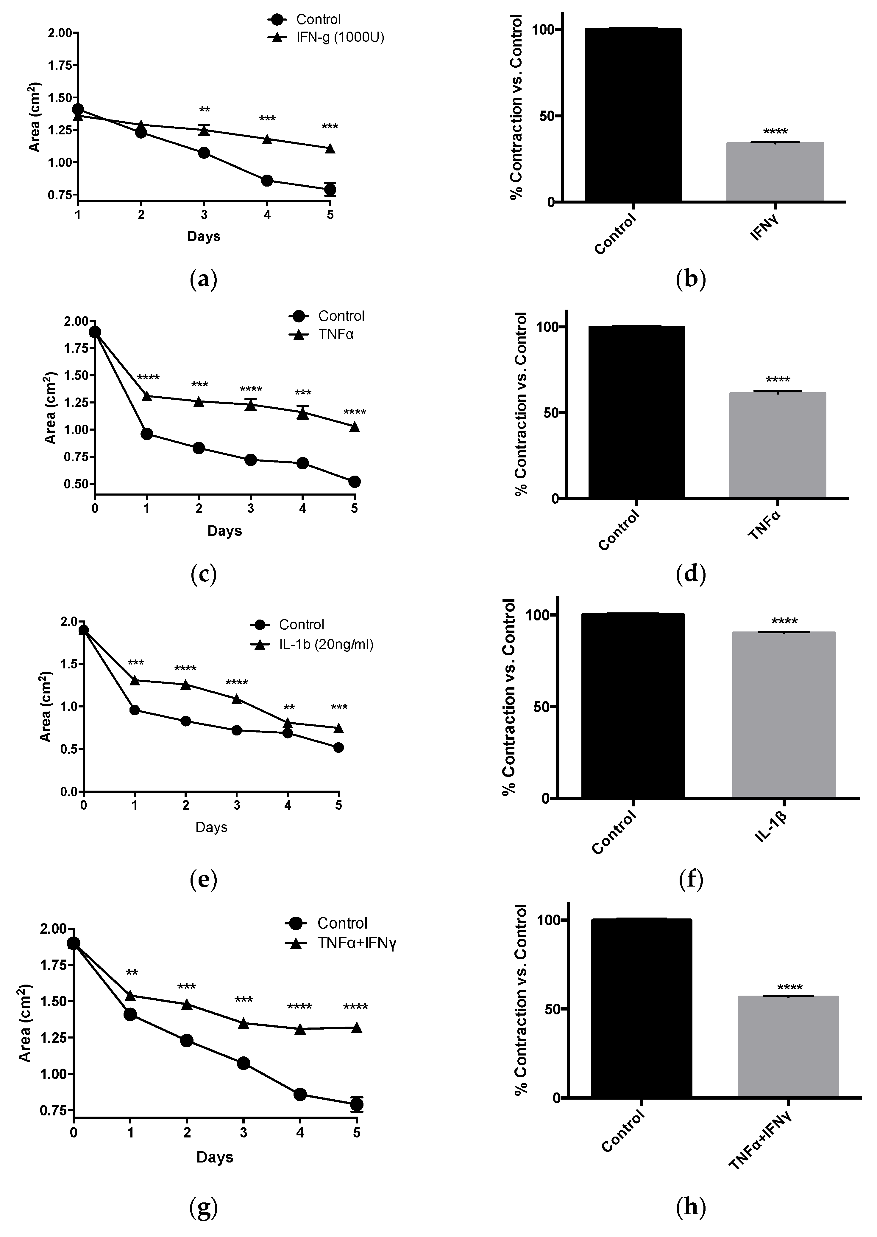 Pathophysiology 28 00006 g004a Pathophysiology 28 00006 g004a