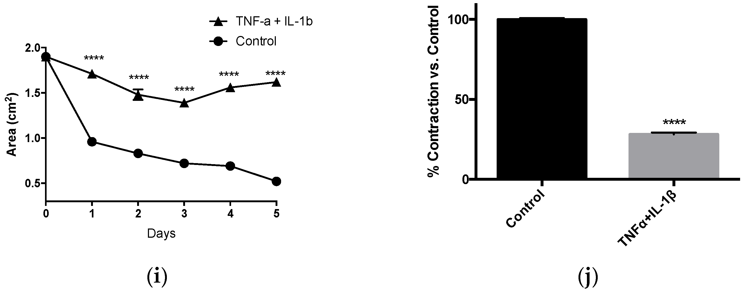 Pathophysiology 28 00006 g004b Pathophysiology 28 00006 g004b