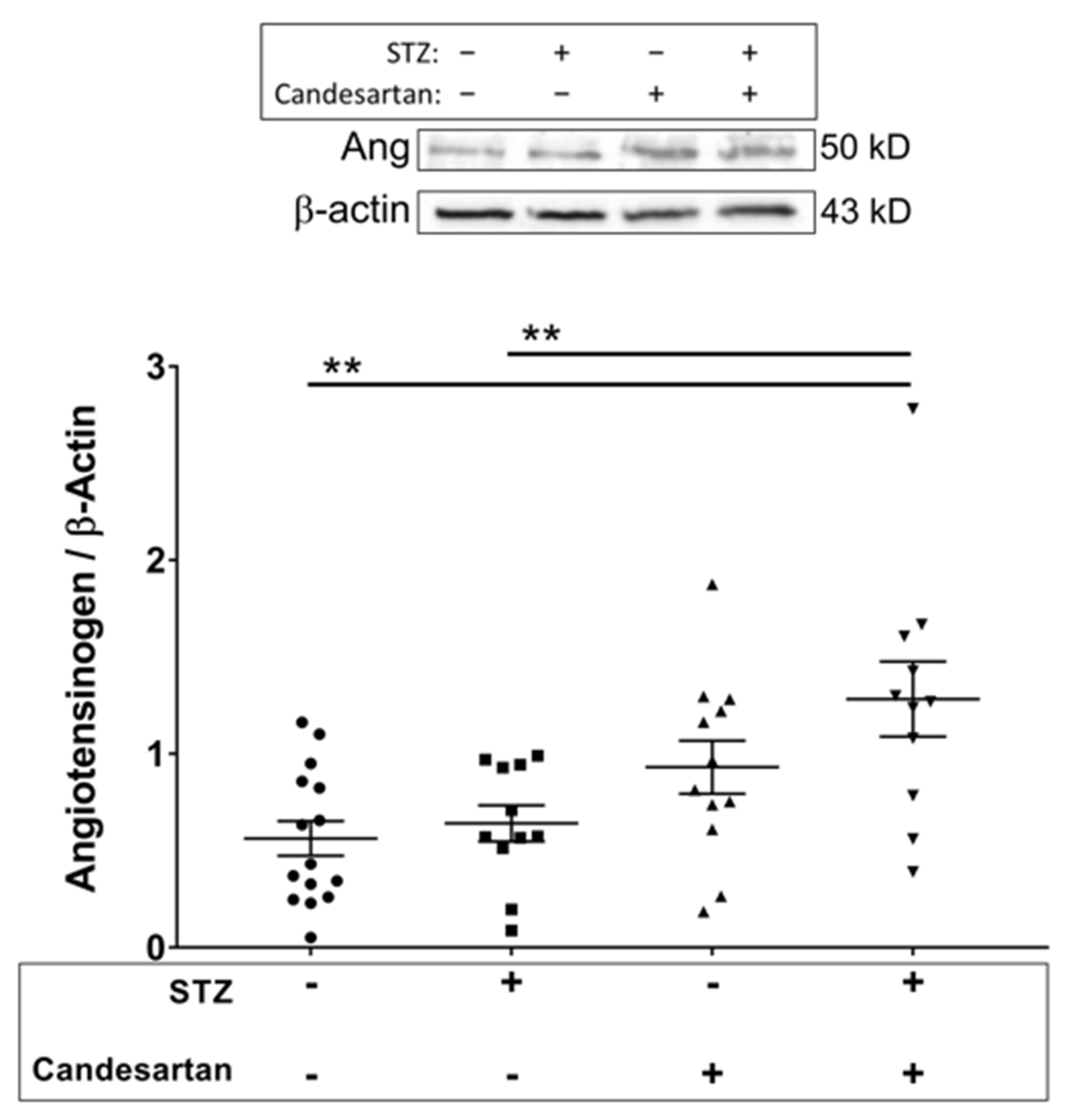 Pathophysiology 28 00008 g003 Pathophysiology 28 00008 g003