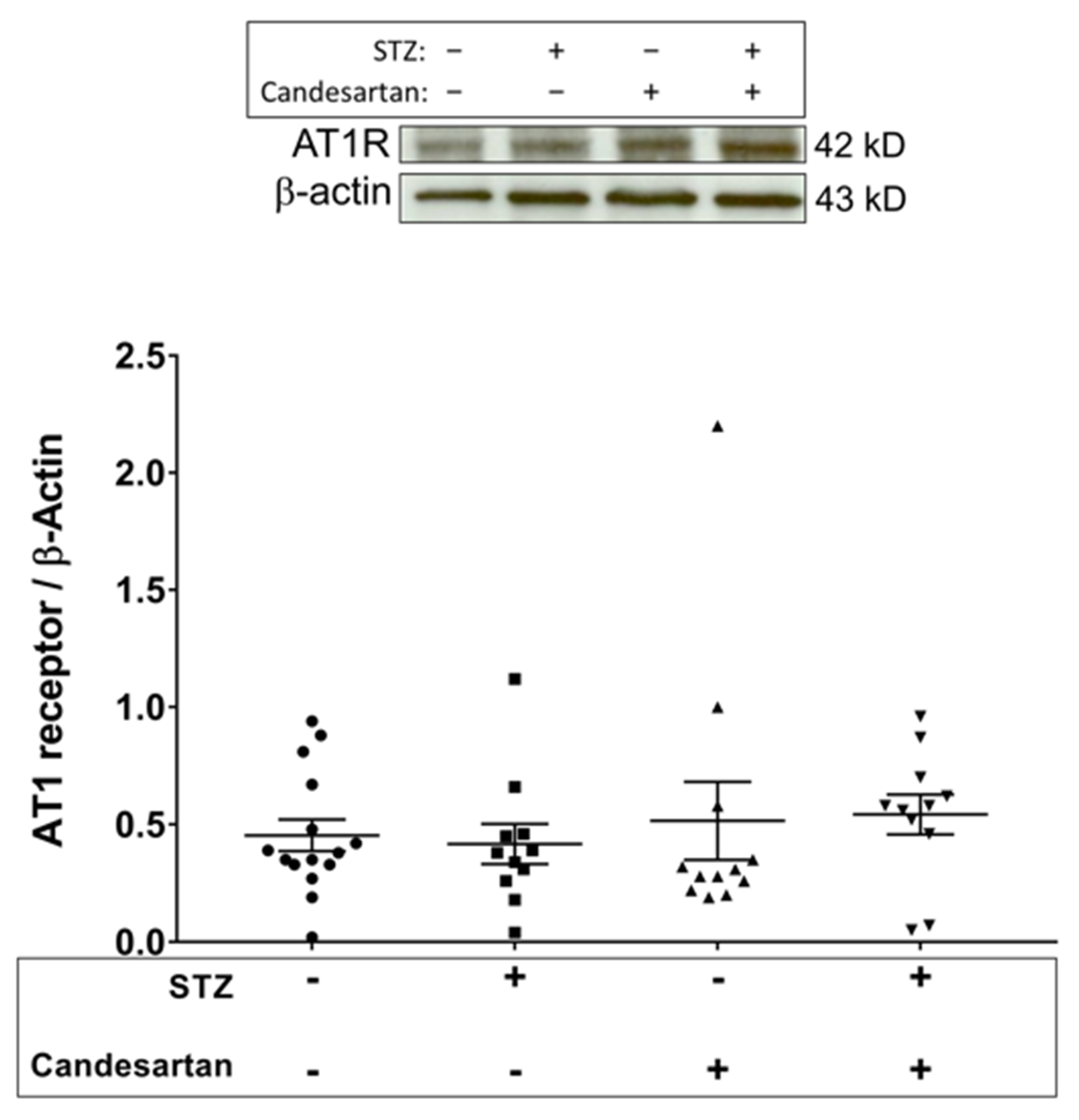 Pathophysiology 28 00008 g004 Pathophysiology 28 00008 g004