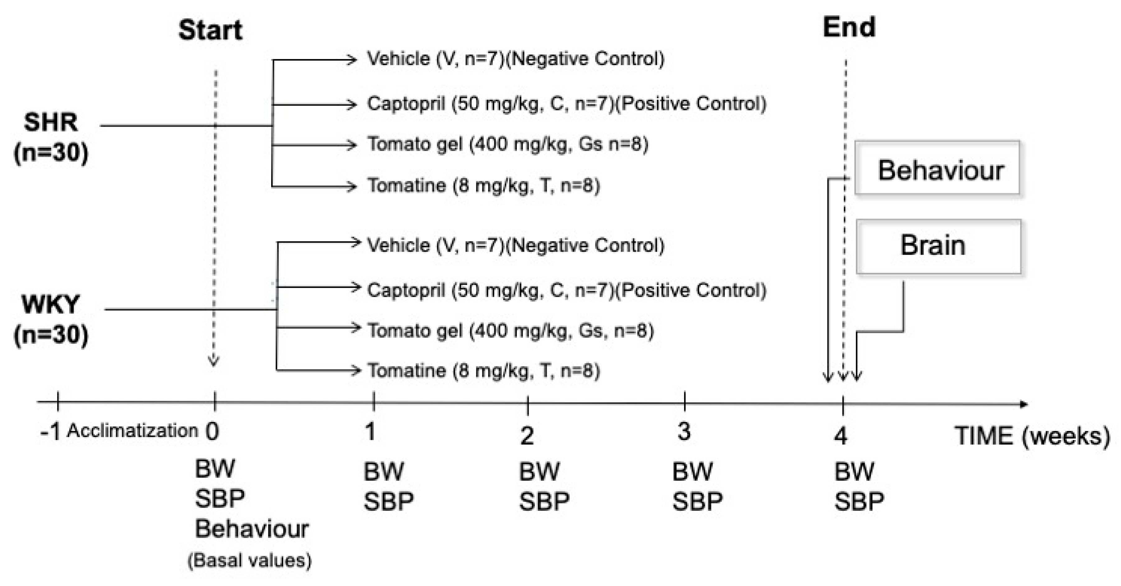 Pathophysiology 28 00012 g001 Pathophysiology 28 00012 g001