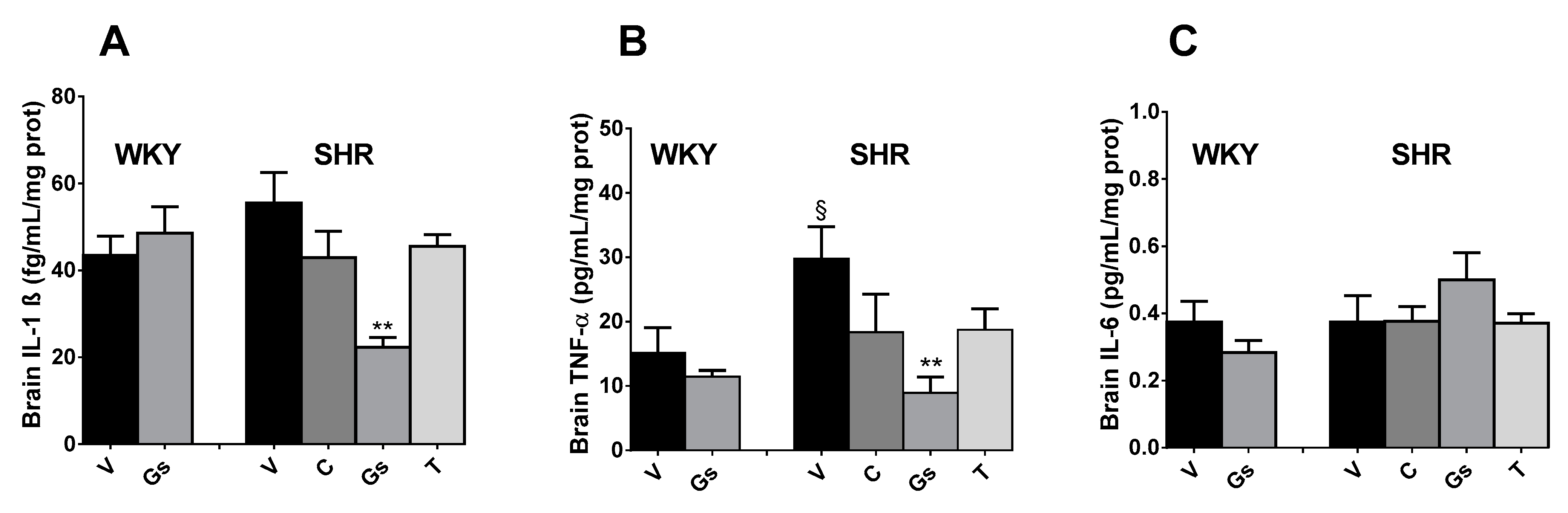 Pathophysiology 28 00012 g005 Pathophysiology 28 00012 g005