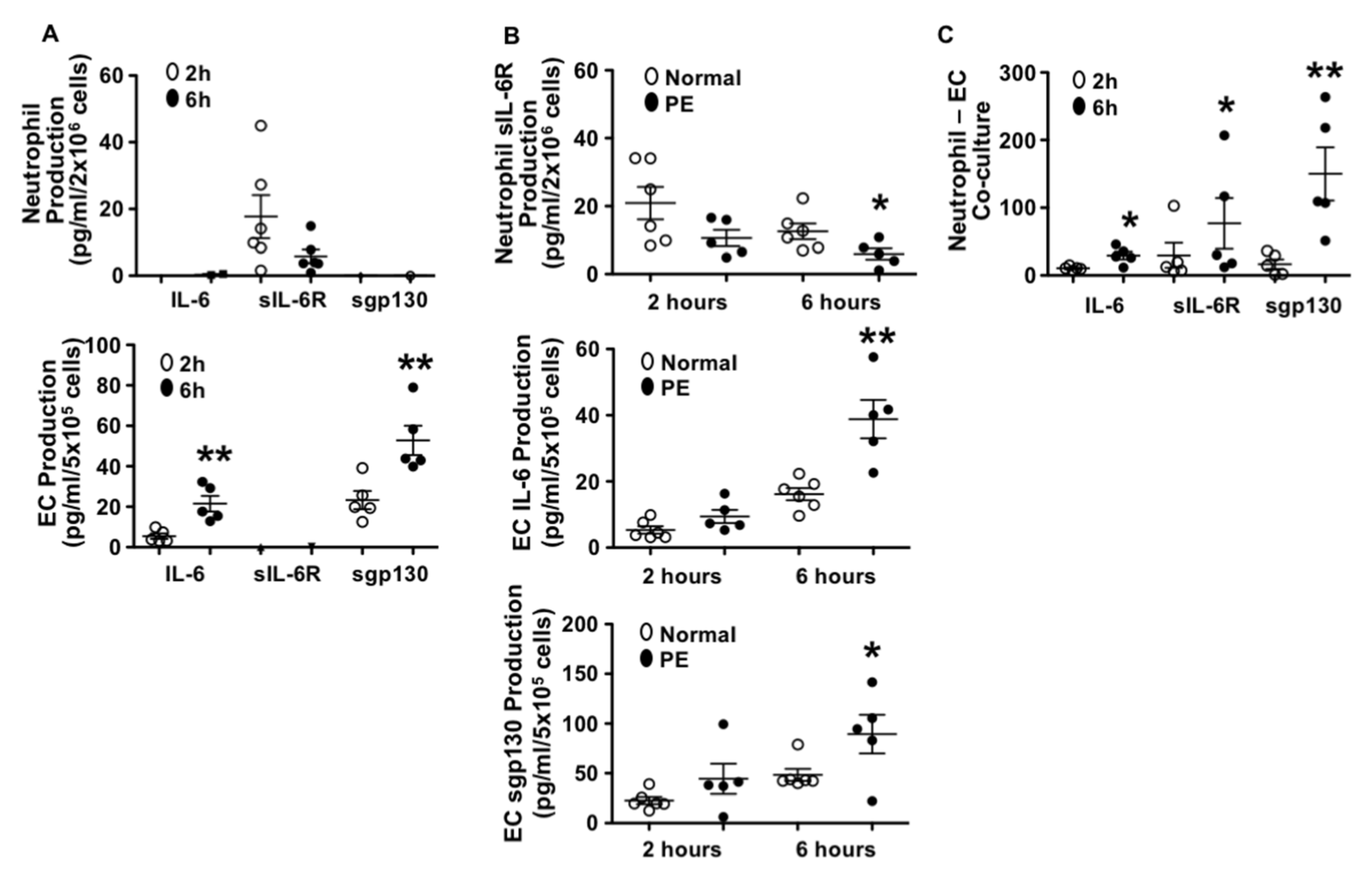 Pathophysiology 28 00013 g001