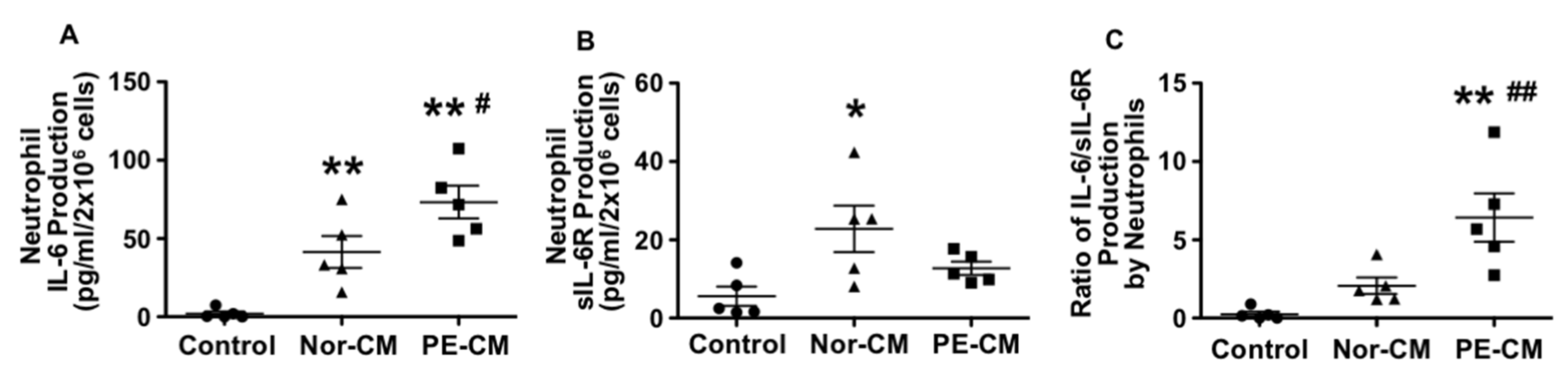 Pathophysiology 28 00013 g002