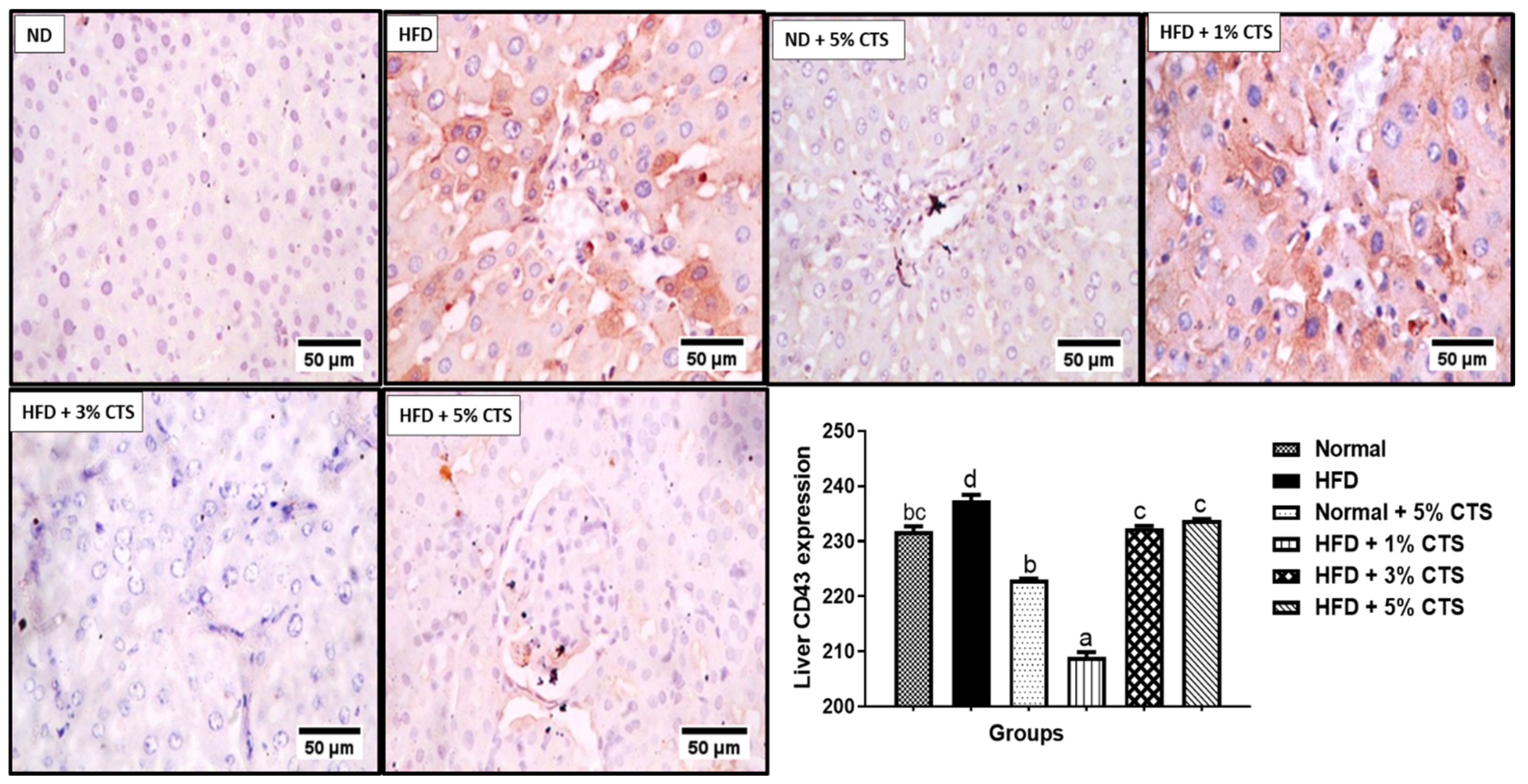 Pathophysiology 28 00015 g003 Pathophysiology 28 00015 g003