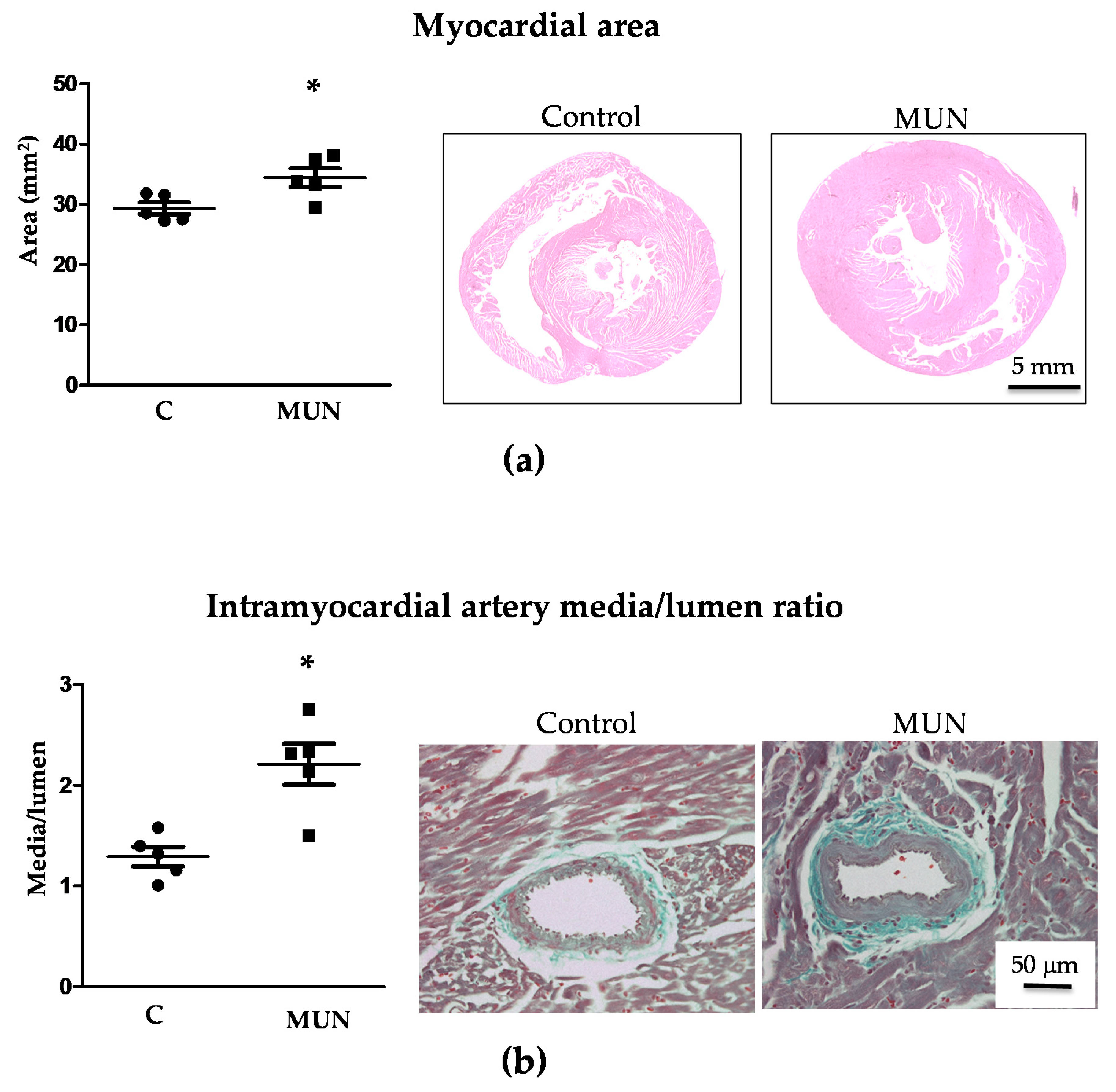 Pathophysiology 28 00018 g002 Pathophysiology 28 00018 g002