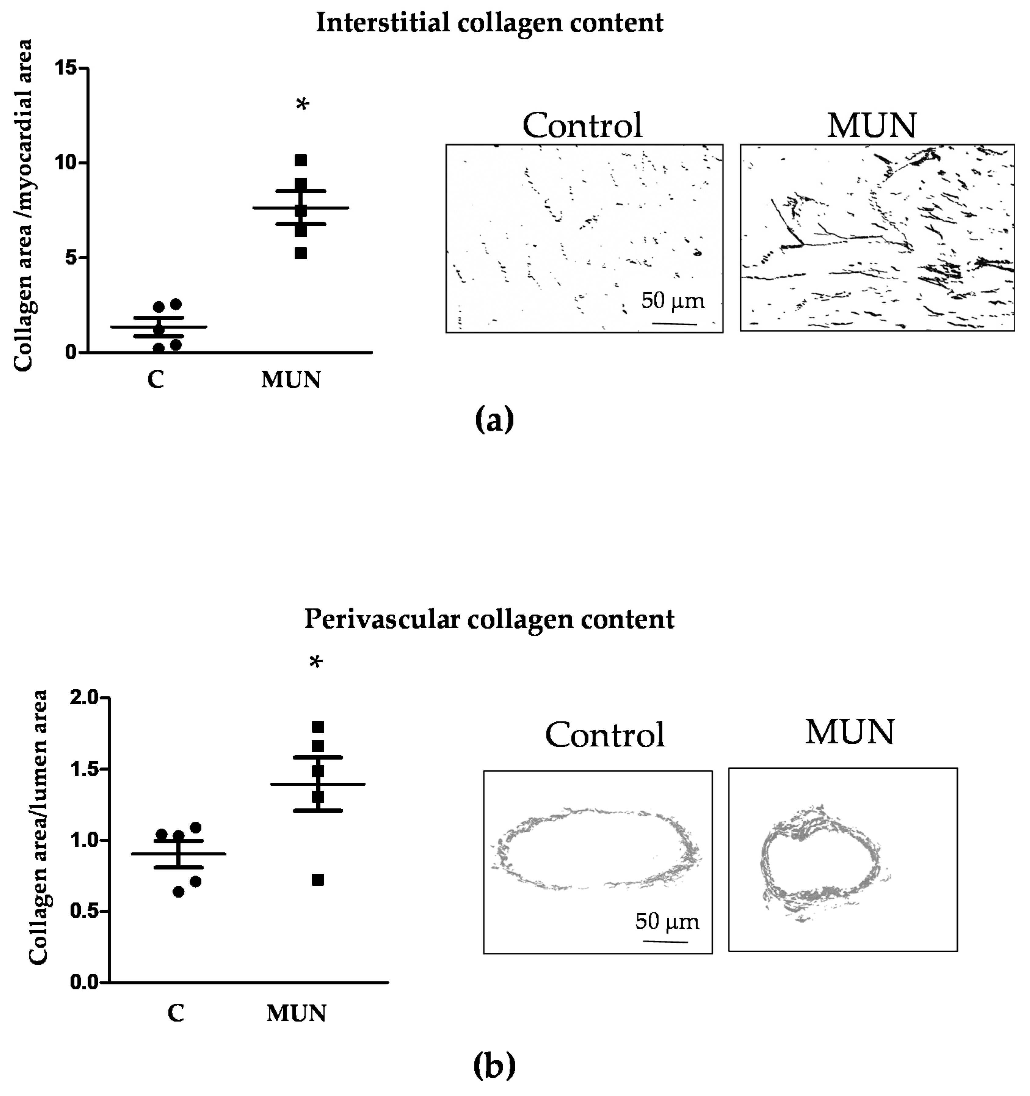 Pathophysiology 28 00018 g003 Pathophysiology 28 00018 g003