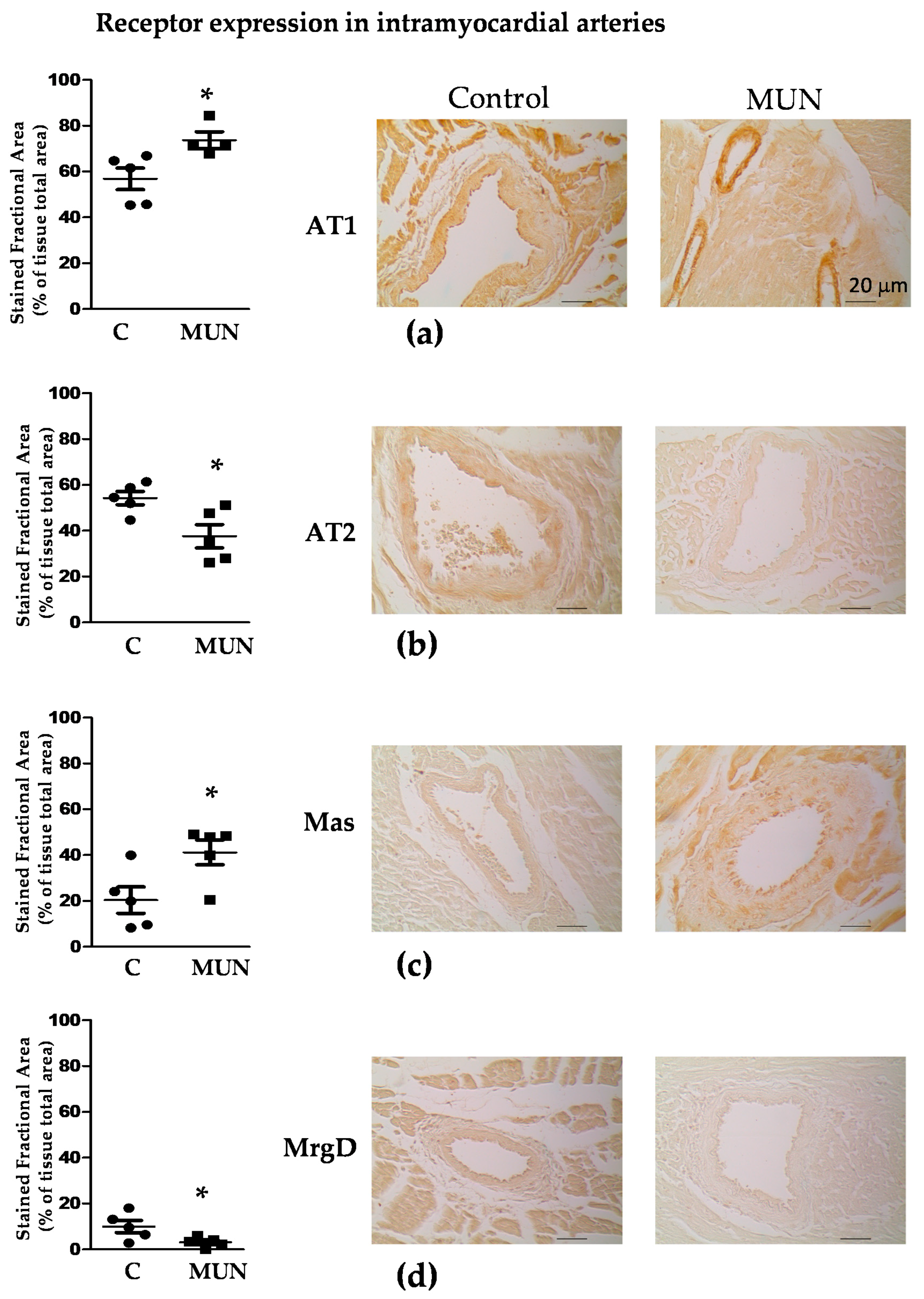 Pathophysiology 28 00018 g005 Pathophysiology 28 00018 g005