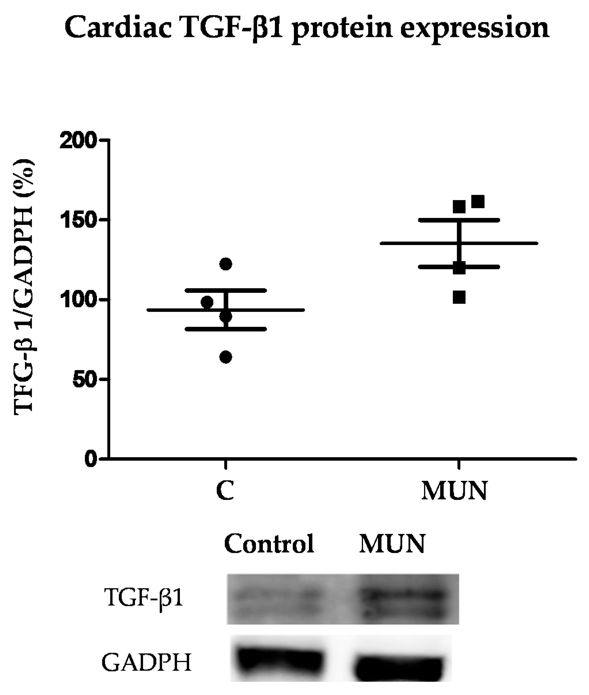 Pathophysiology 28 00018 g006 Pathophysiology 28 00018 g006