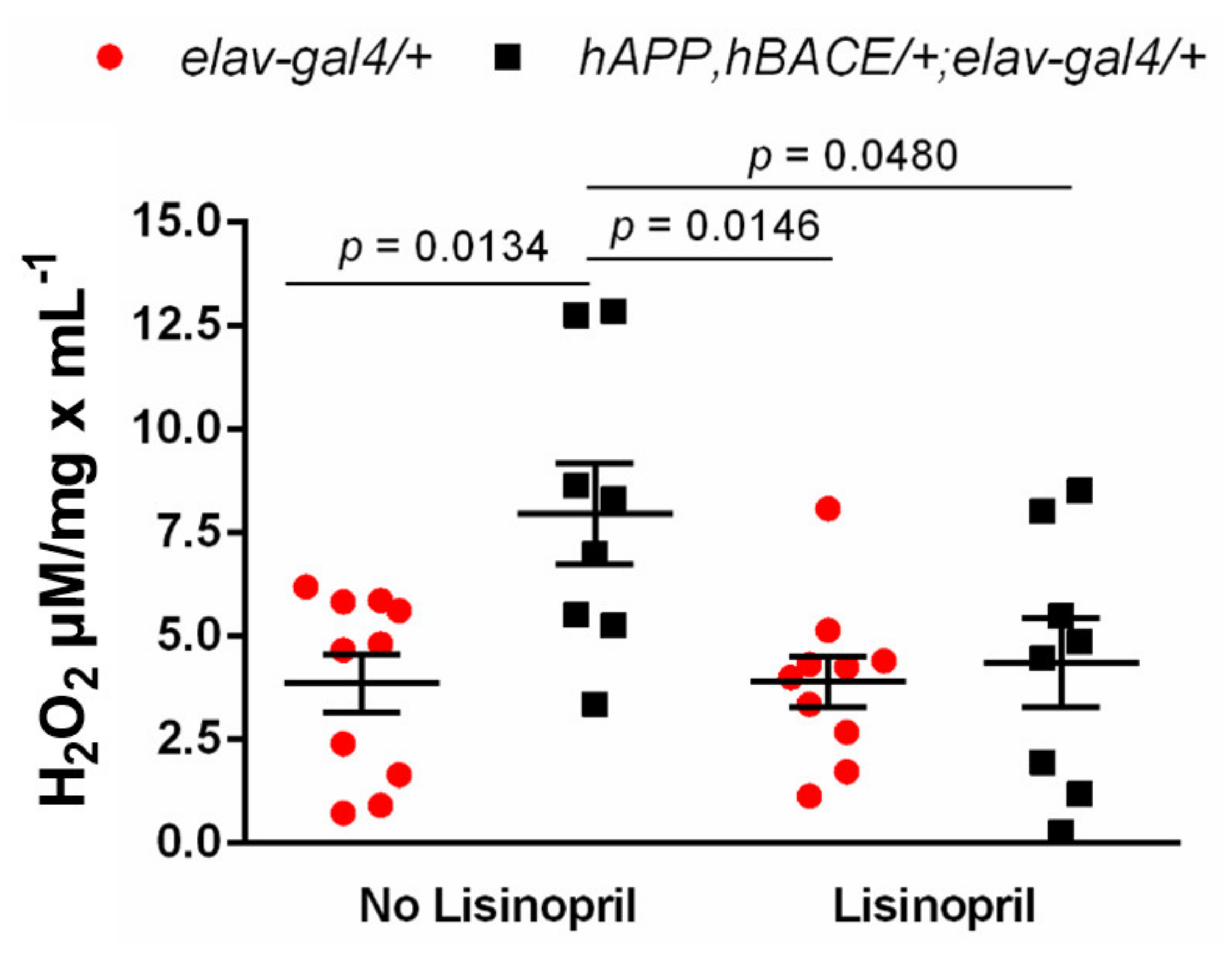 Pathophysiology 28 00020 g003 Pathophysiology 28 00020 g003