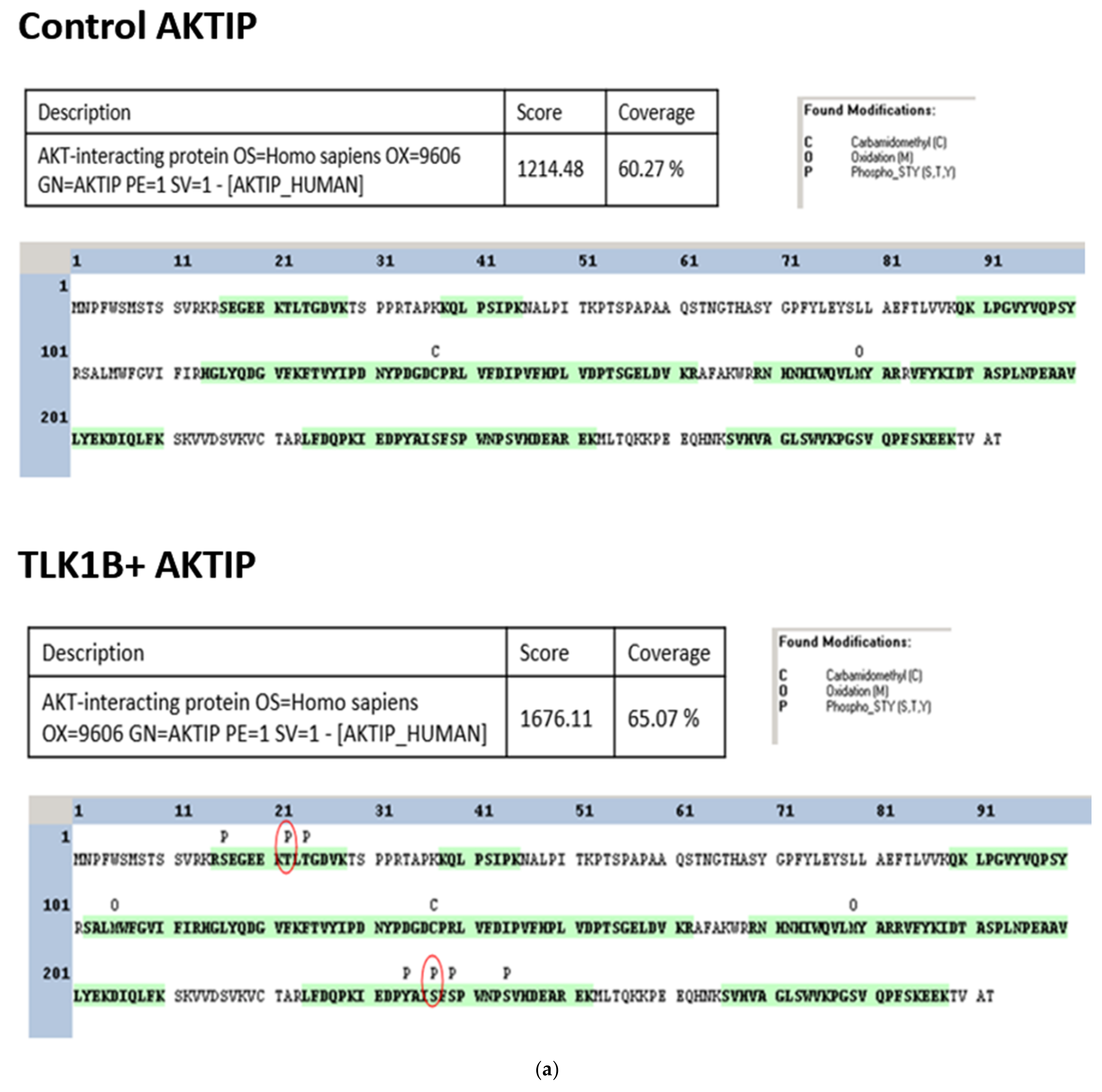 Pathophysiology 28 00023 g002a Pathophysiology 28 00023 g002a