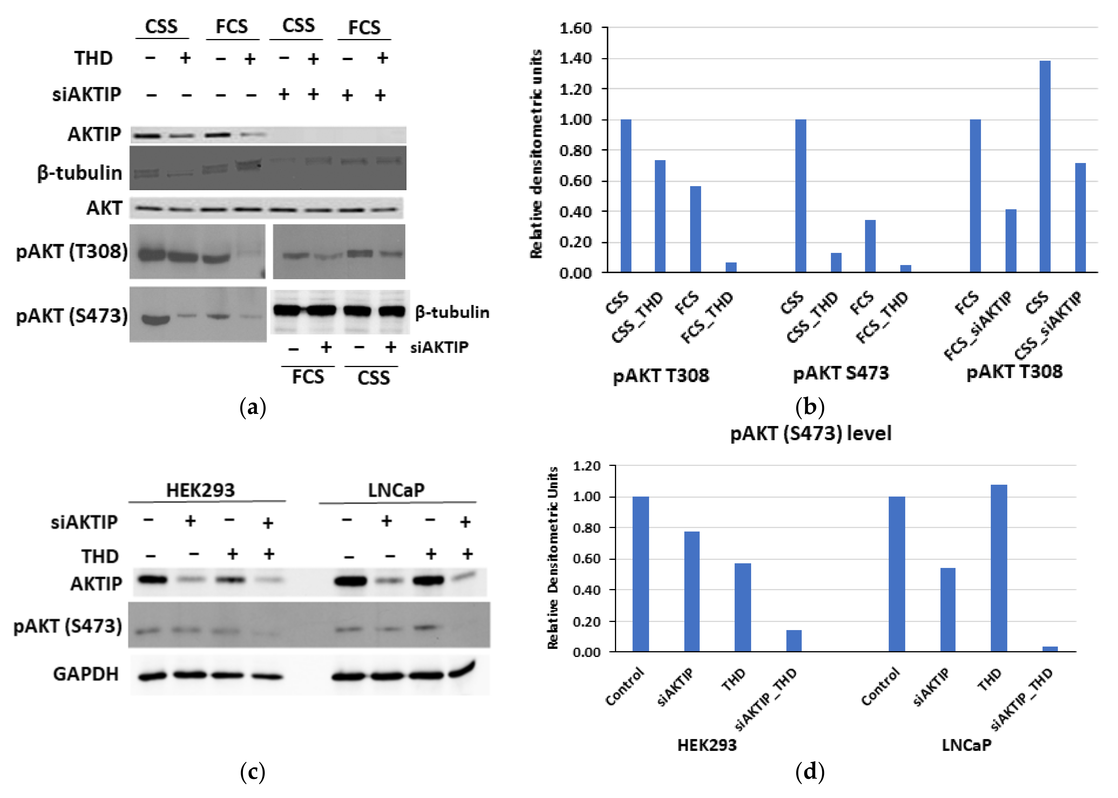 Pathophysiology 28 00023 g003a Pathophysiology 28 00023 g003a