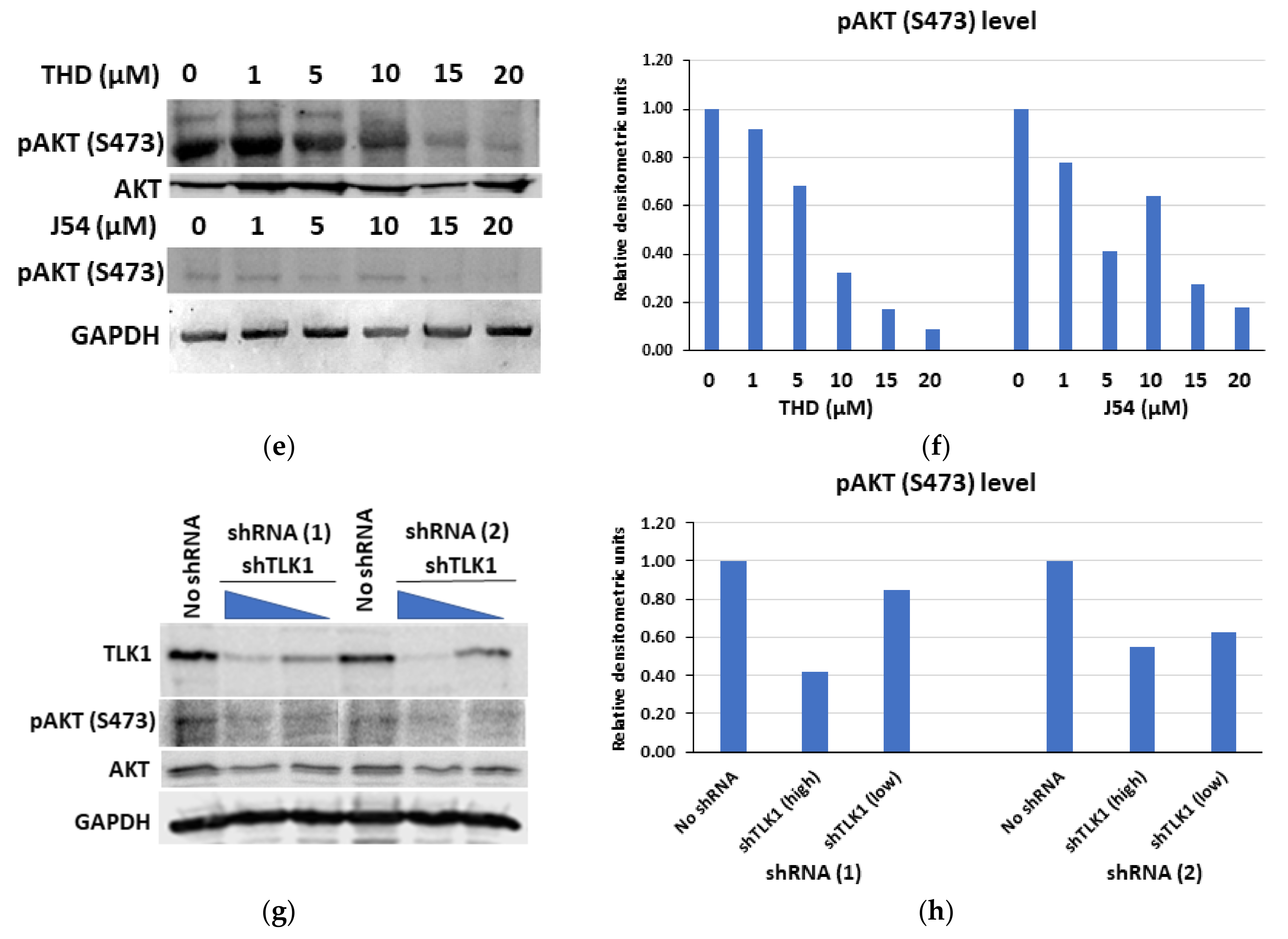 Pathophysiology 28 00023 g003b Pathophysiology 28 00023 g003b
