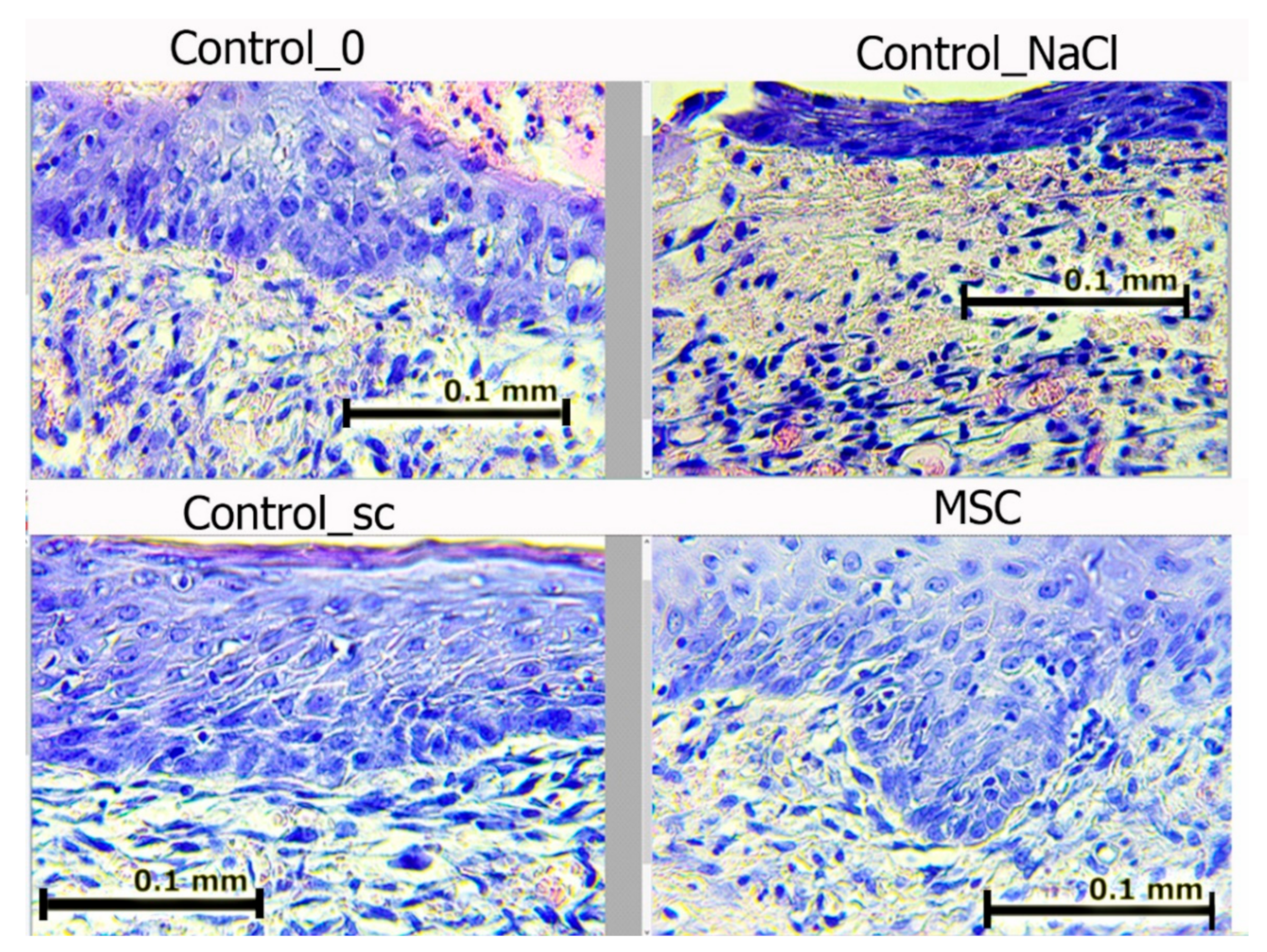 Pathophysiology 28 00024 g008 550