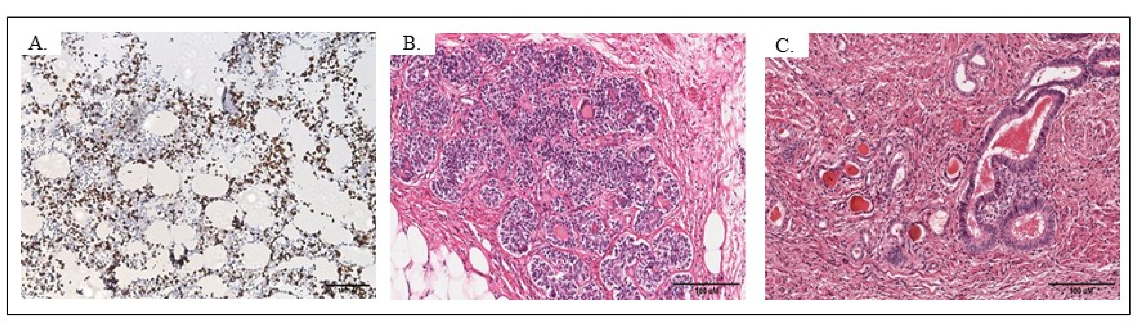 Pathophysiology 28 00025 g003 550