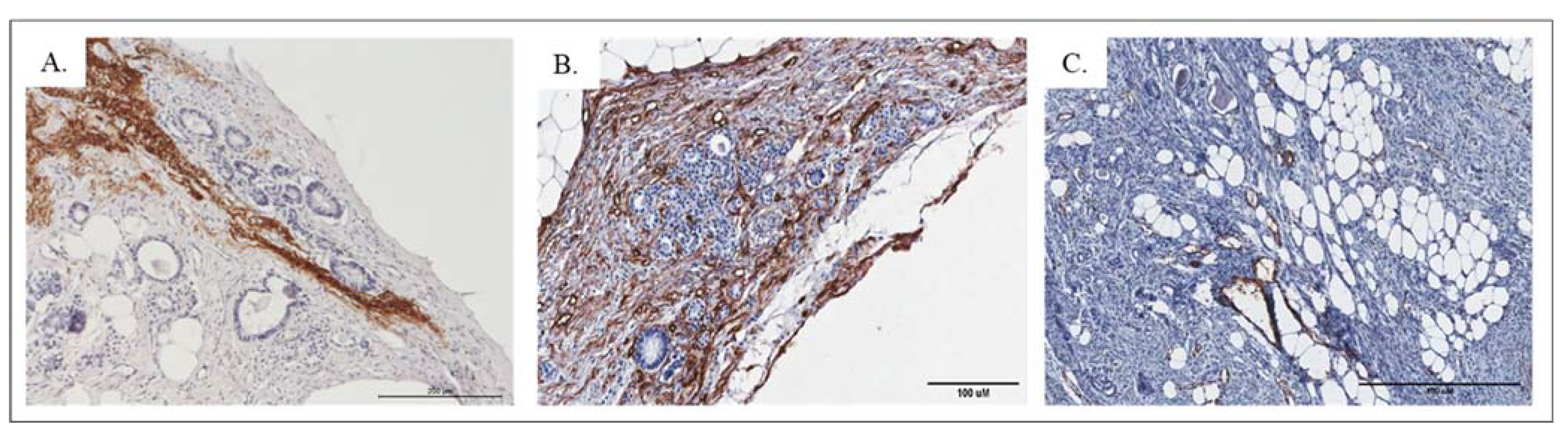 Pathophysiology 28 00025 g005 550