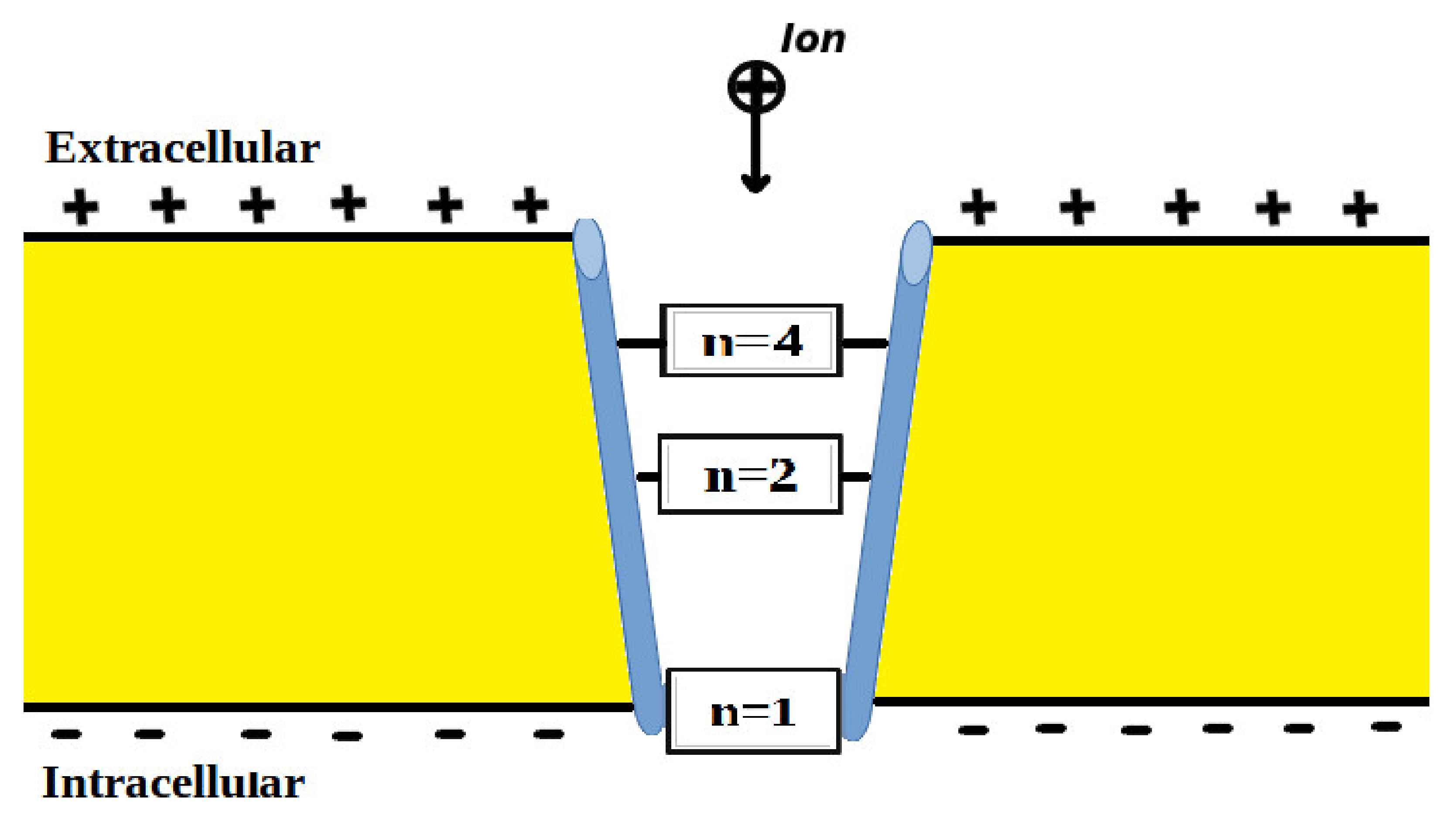 Pathophysiology 28 00027 g001 550