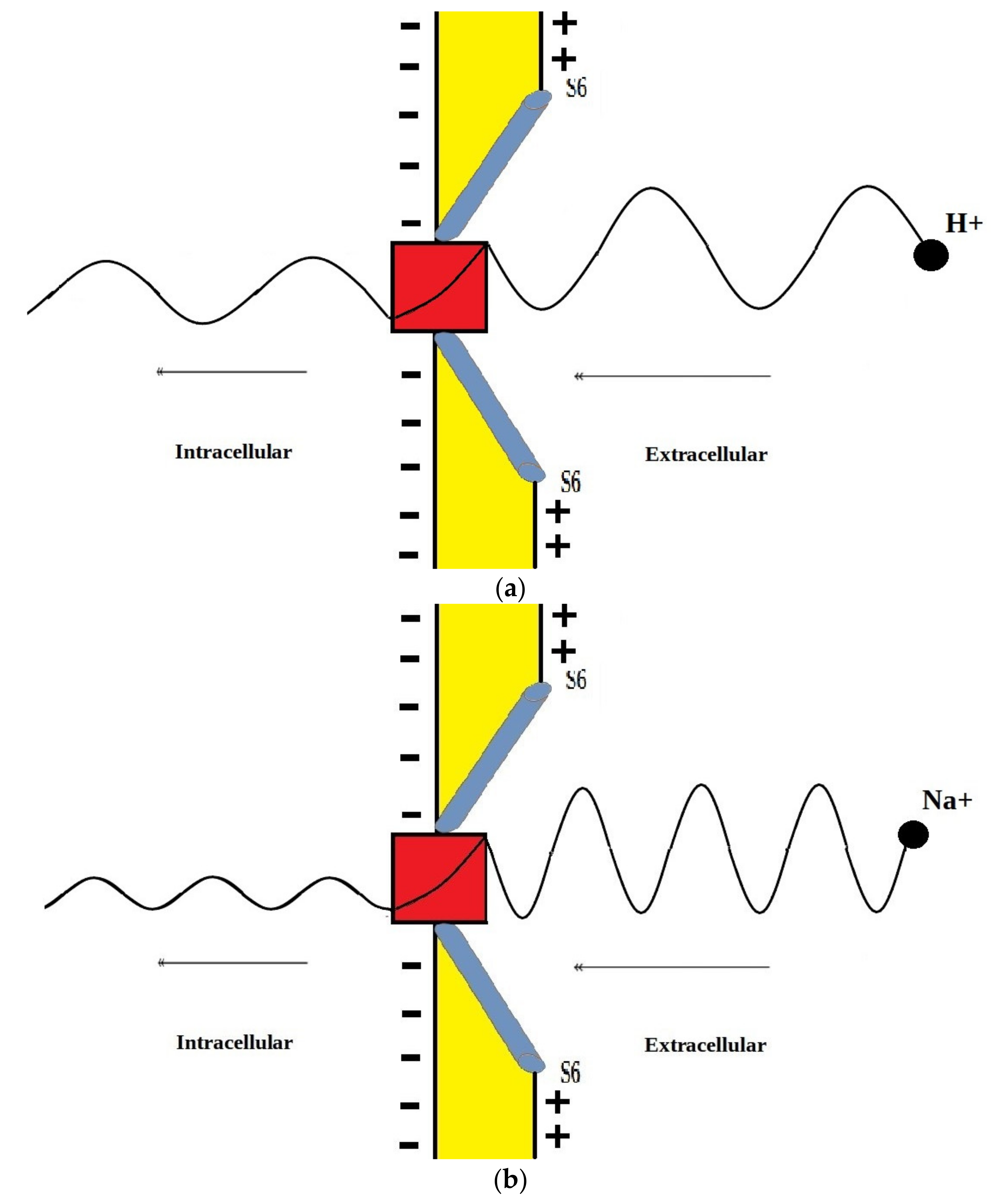 Pathophysiology 28 00027 g013 550