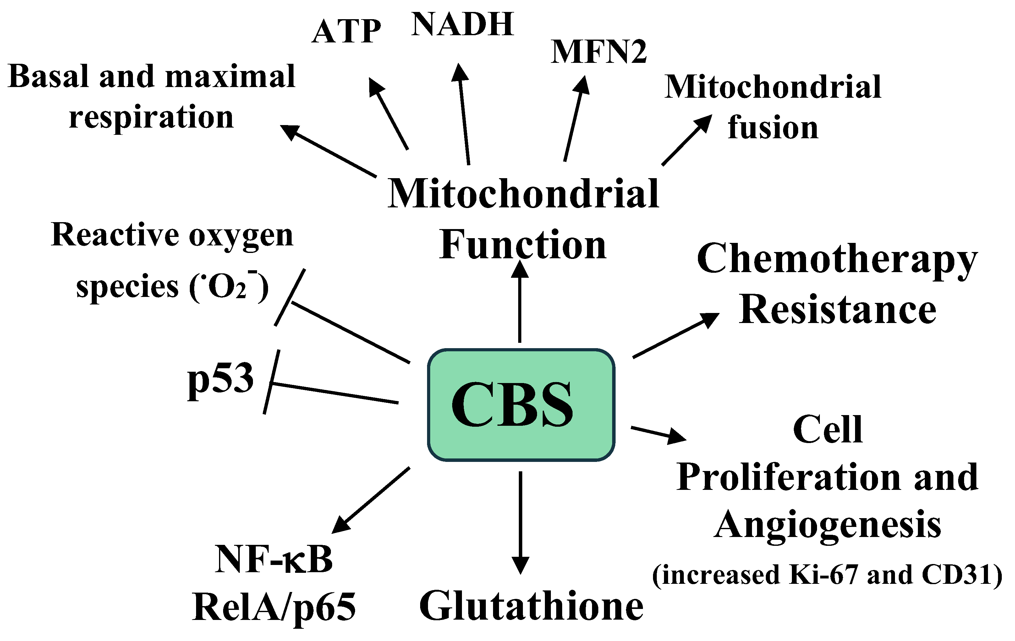 Pathophysiology 28 00028 g002