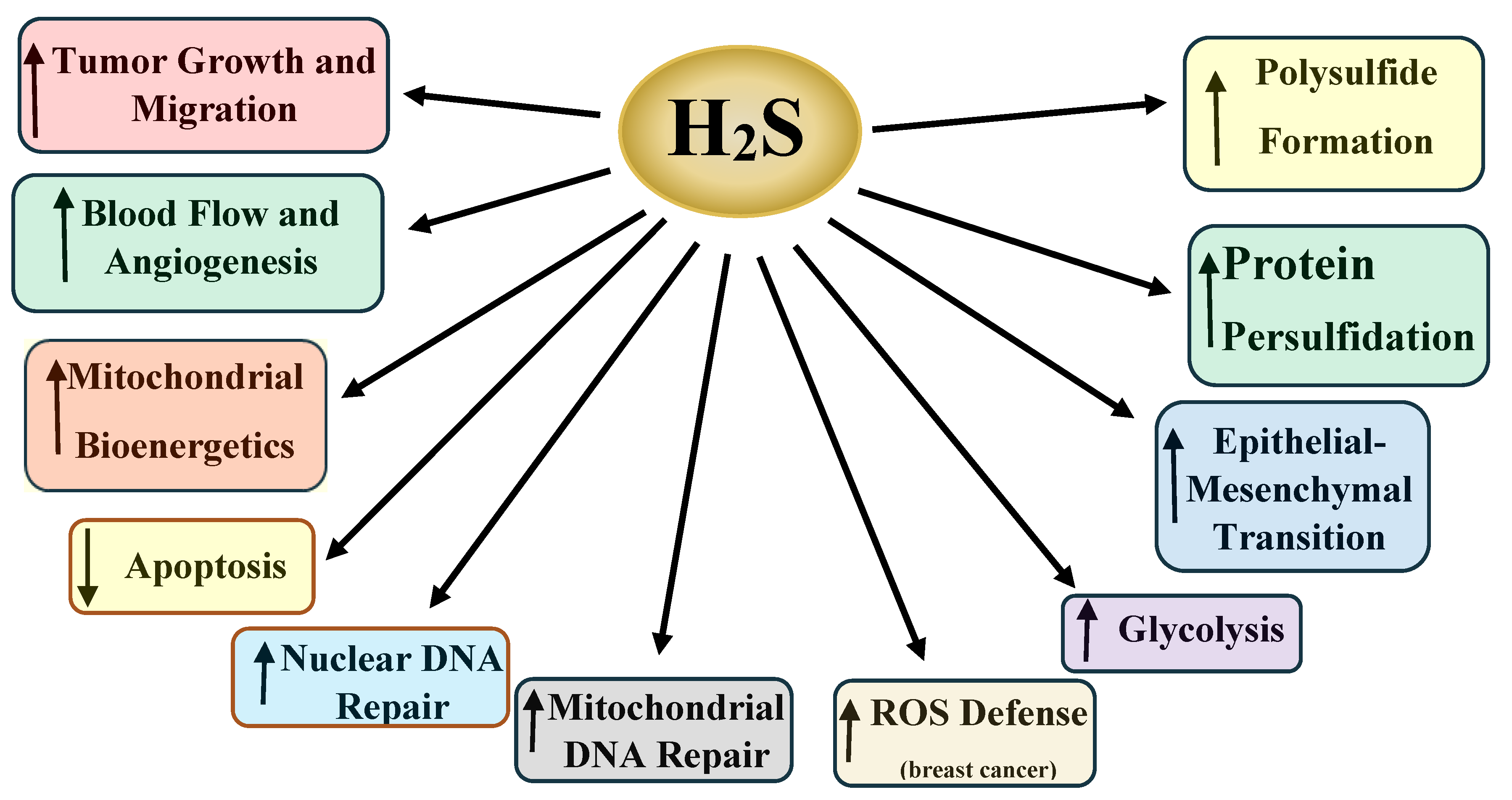 Pathophysiology 28 00028 g004