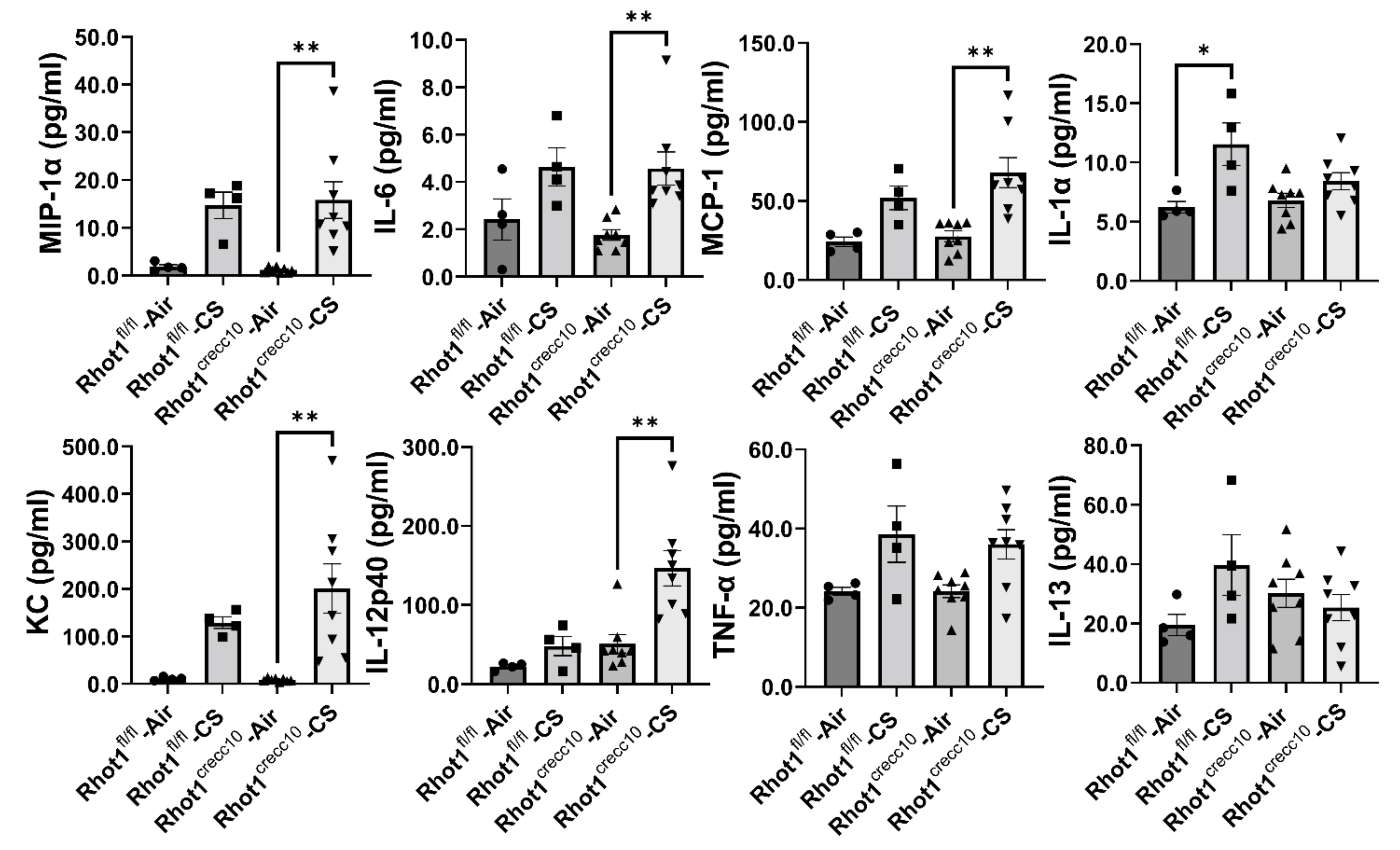 Pathophysiology 28 00033 g002 550