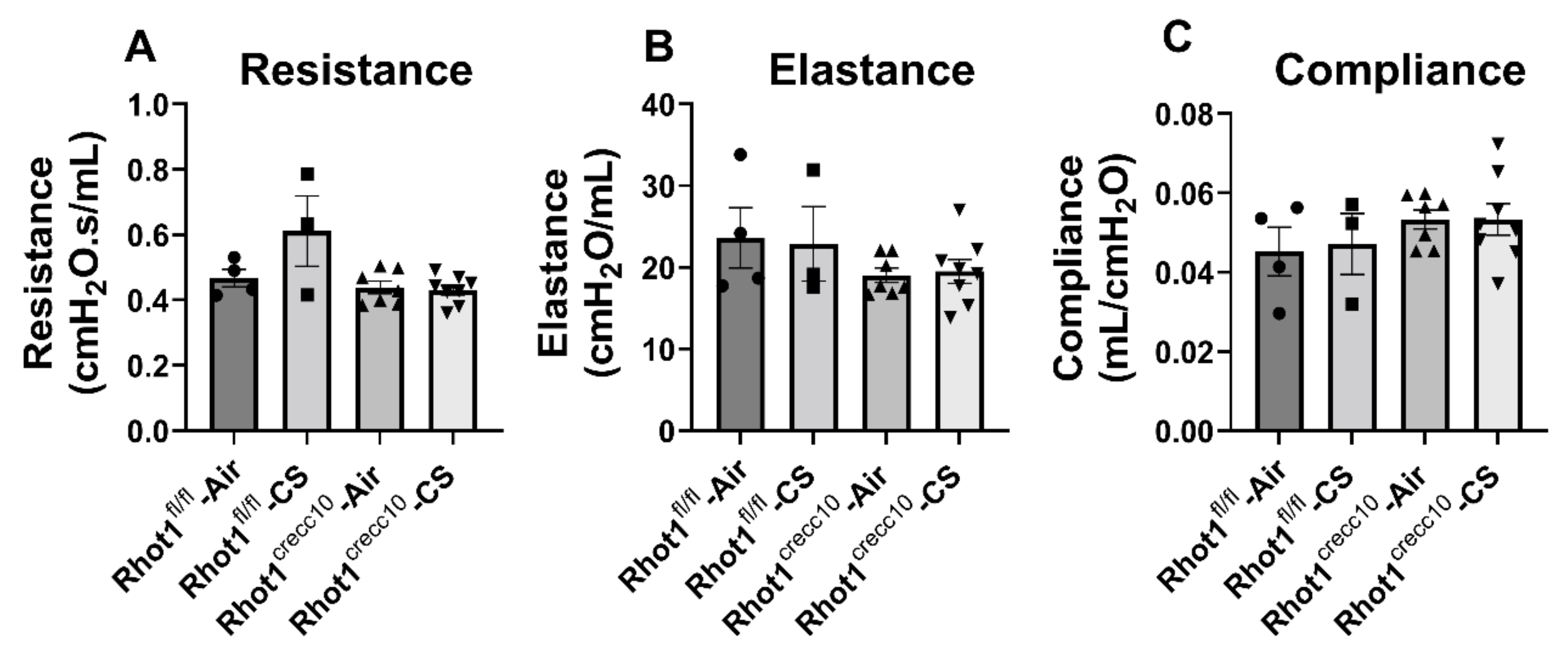 Pathophysiology 28 00033 g005 550