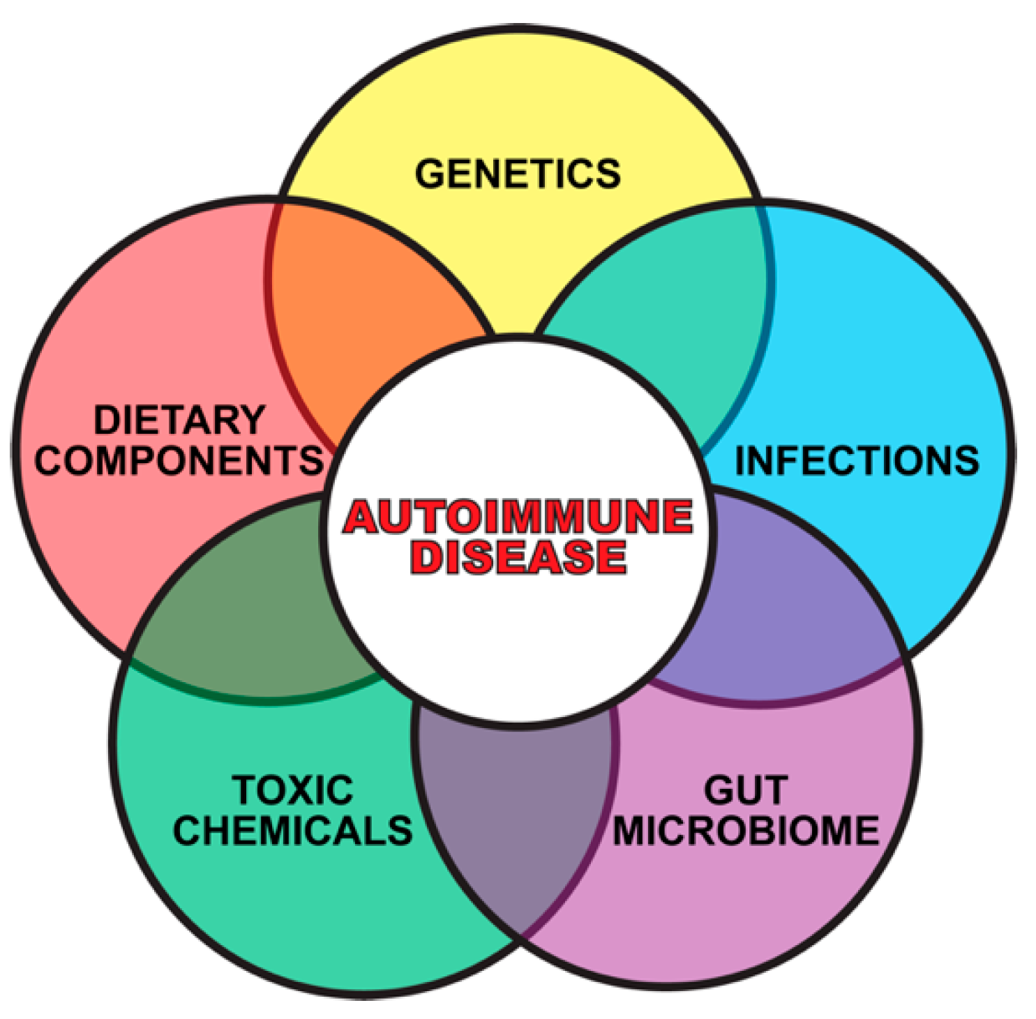 Pathophysiology 28 00034 g002
