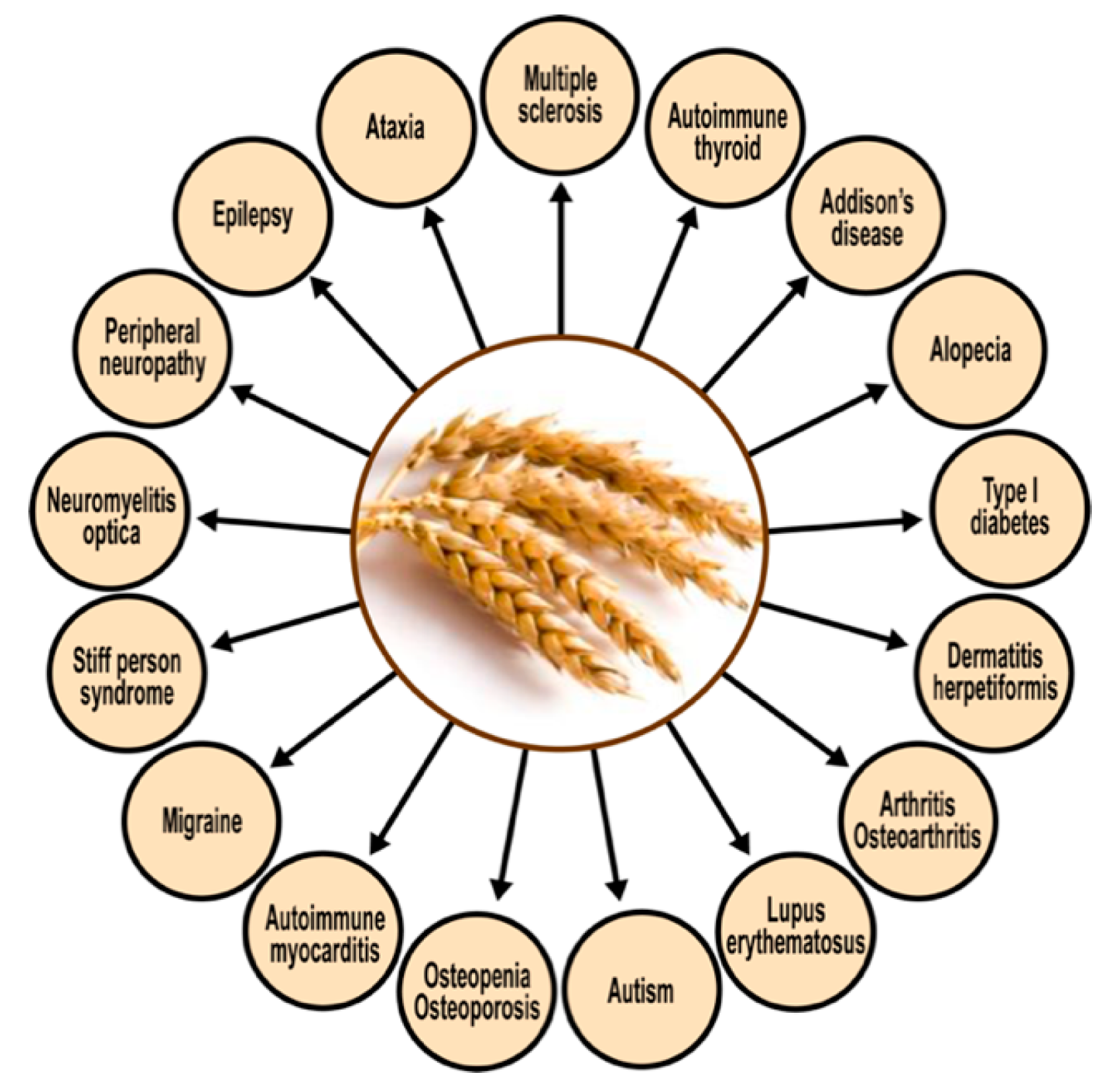 Pathophysiology 28 00034 g011