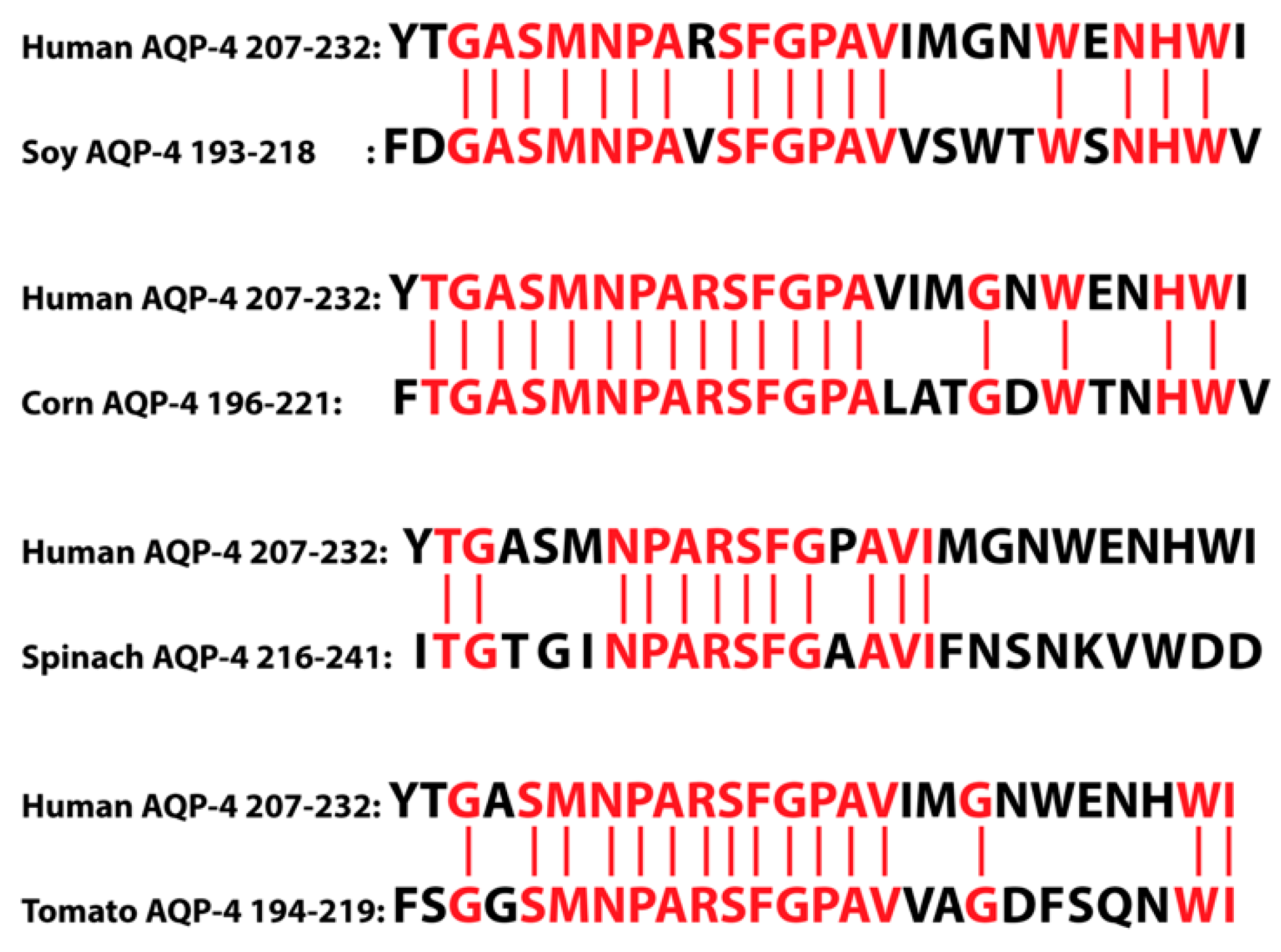 Pathophysiology 28 00034 g015