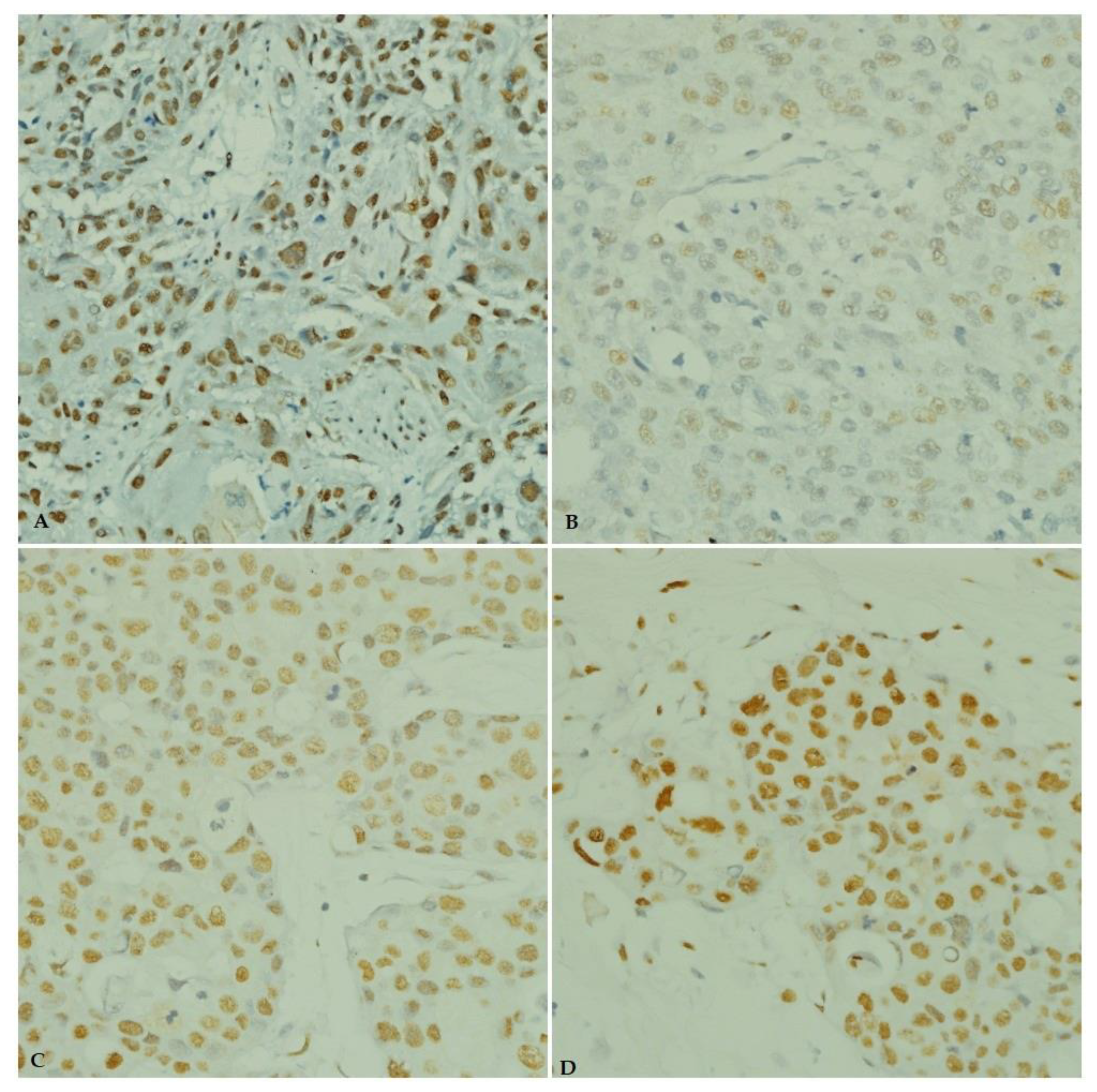 Pathophysiology 29 00002 g004 550