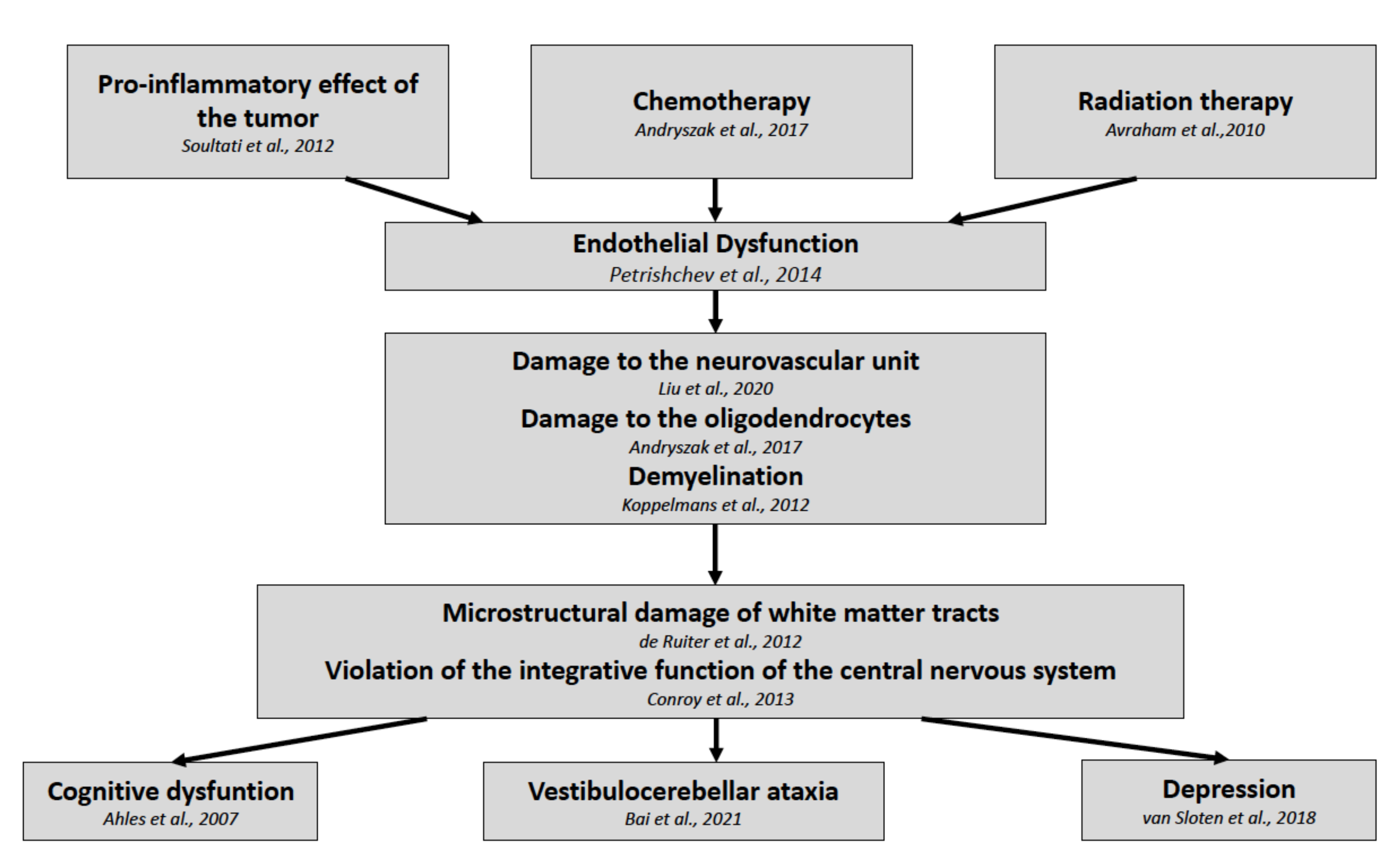Pathophysiology 29 00006 g002 Pathophysiology 29 00006 g002