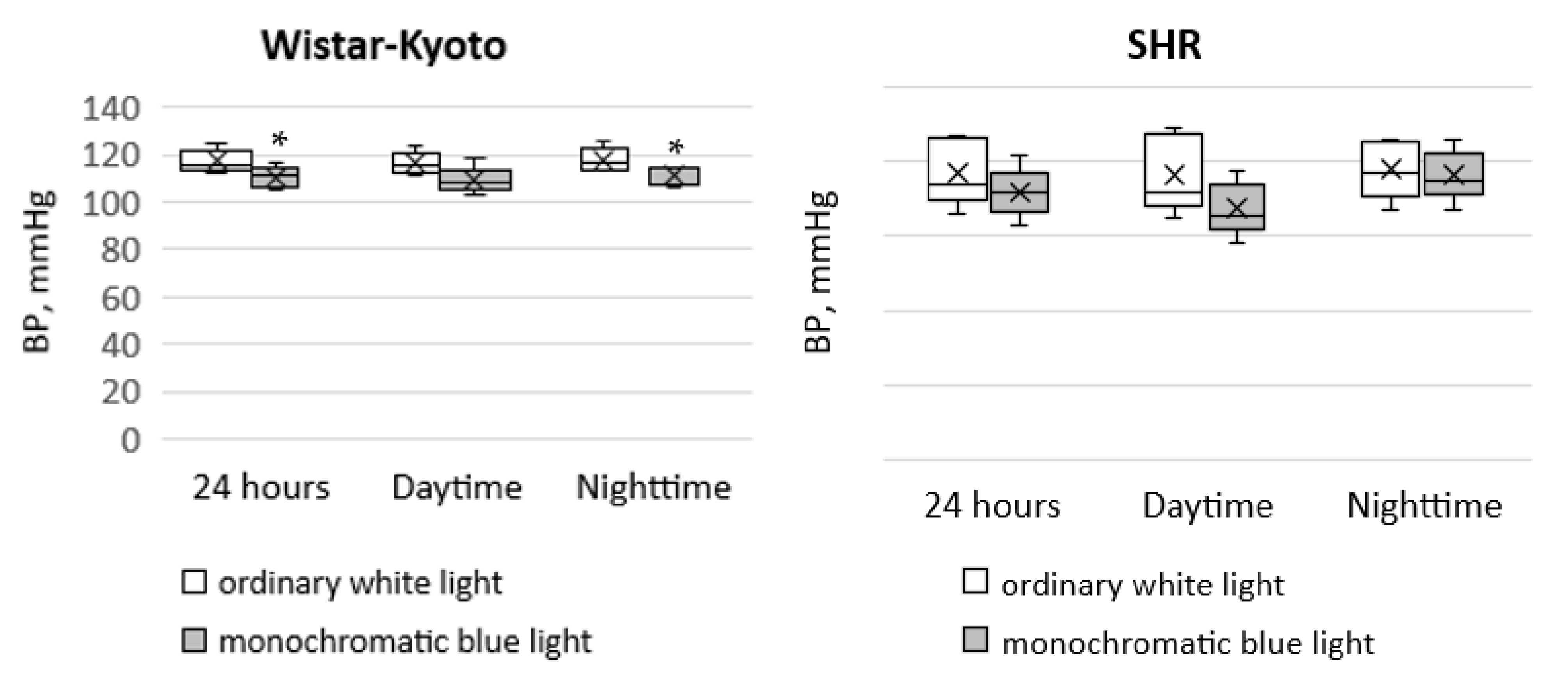Pathophysiology 29 00011 g001