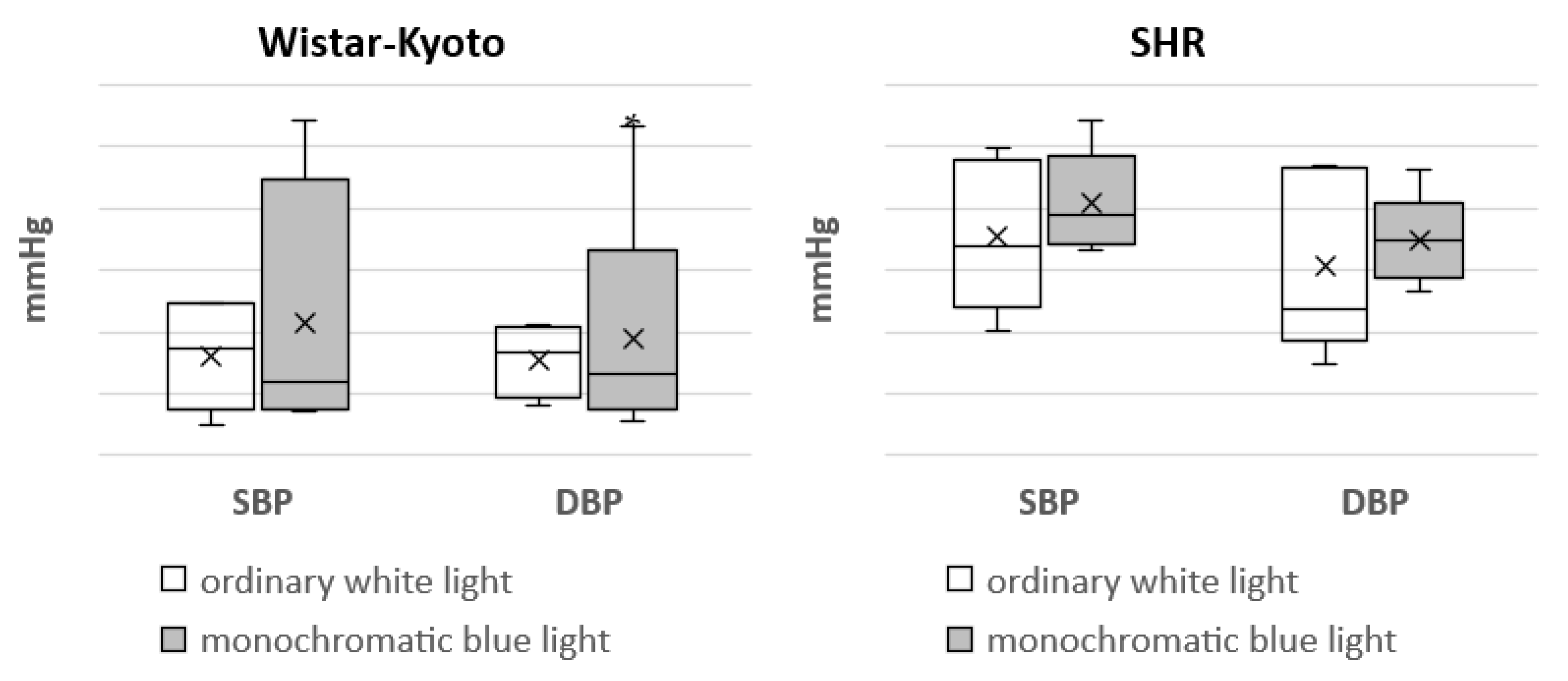 Pathophysiology 29 00011 g005