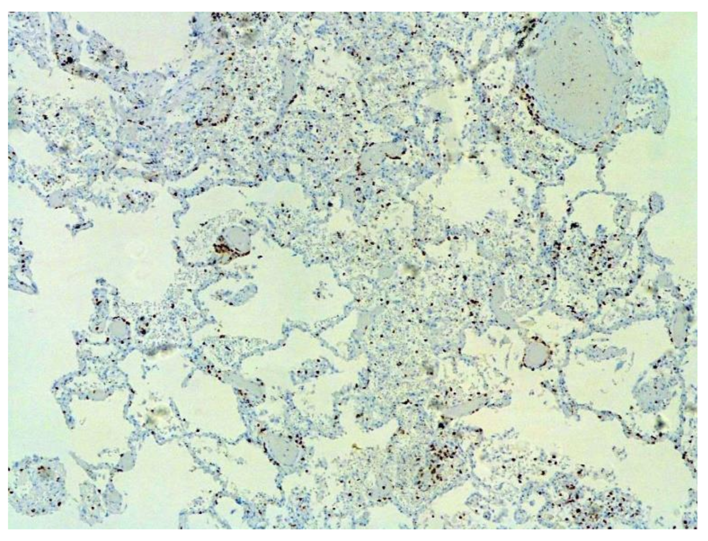 Pathophysiology 29 00021 g010 550