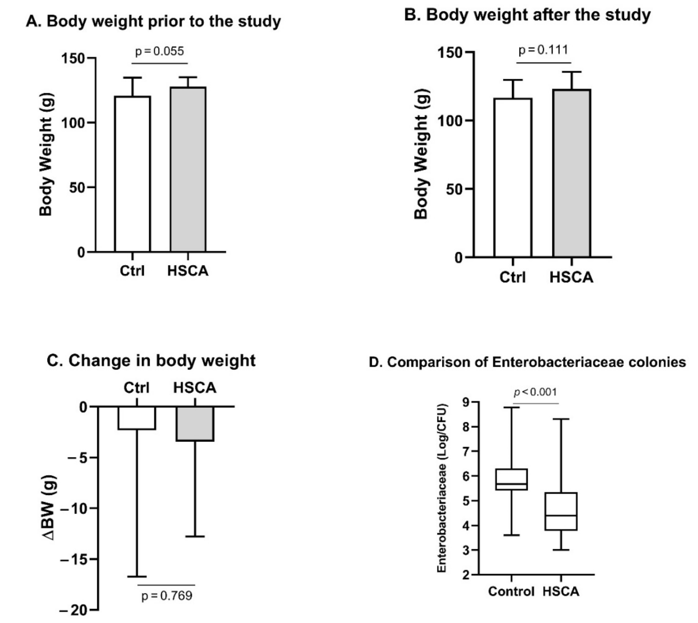 Pathophysiology 29 00026 g001