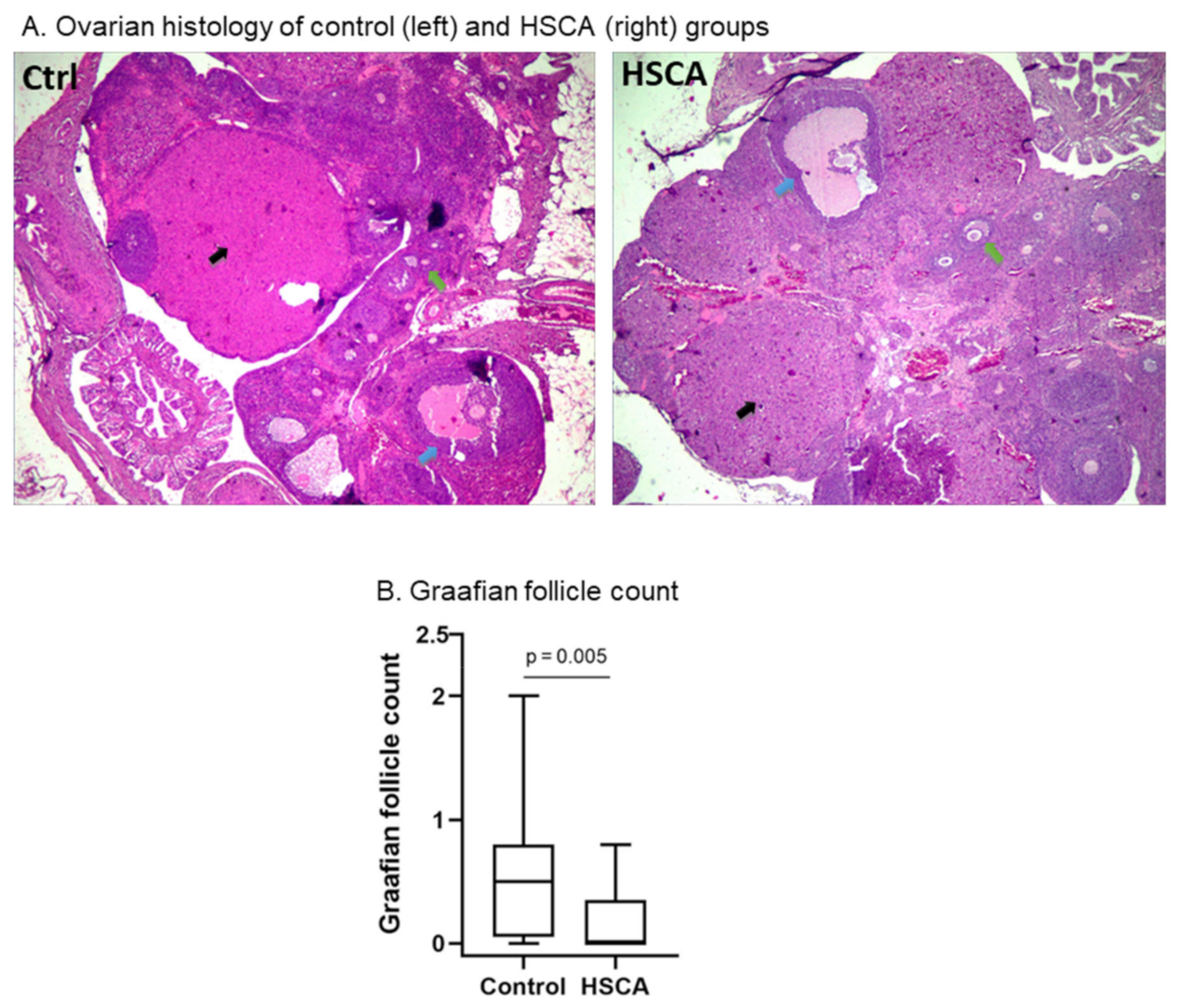 Pathophysiology 29 00026 g003