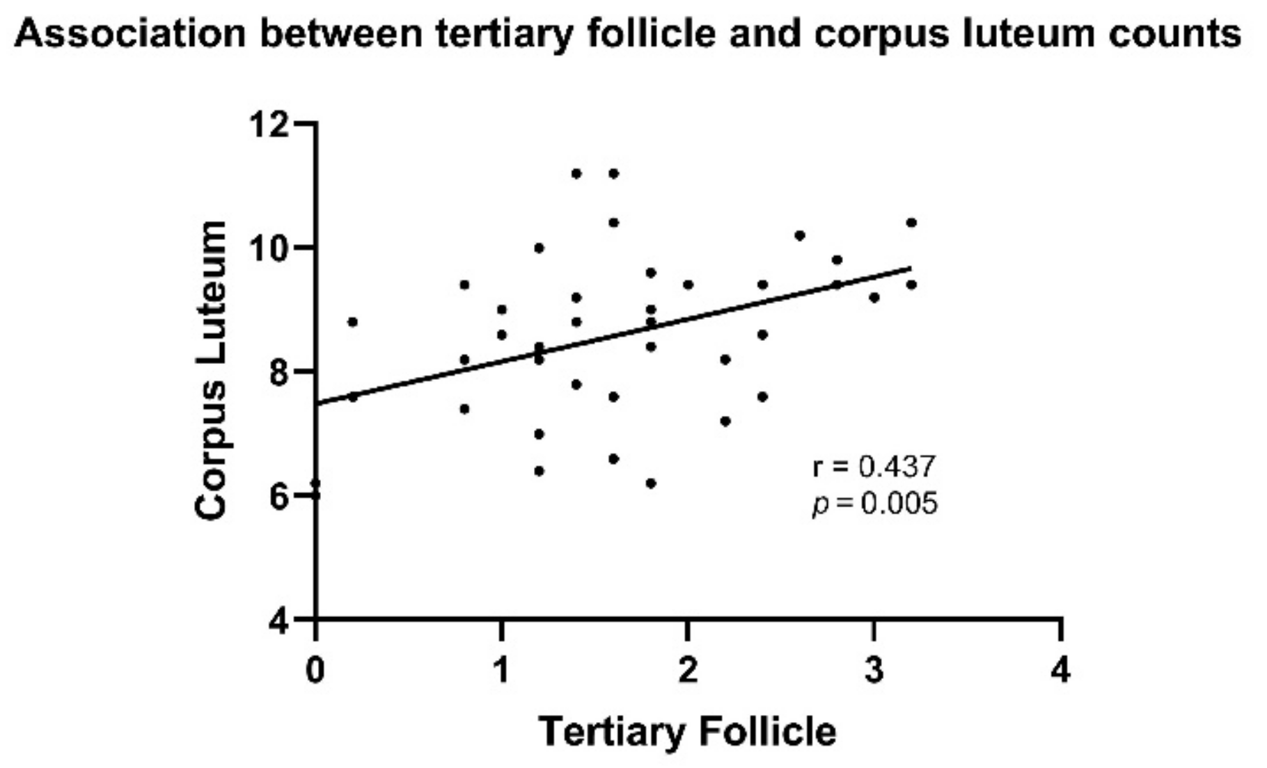 Pathophysiology 29 00026 g004