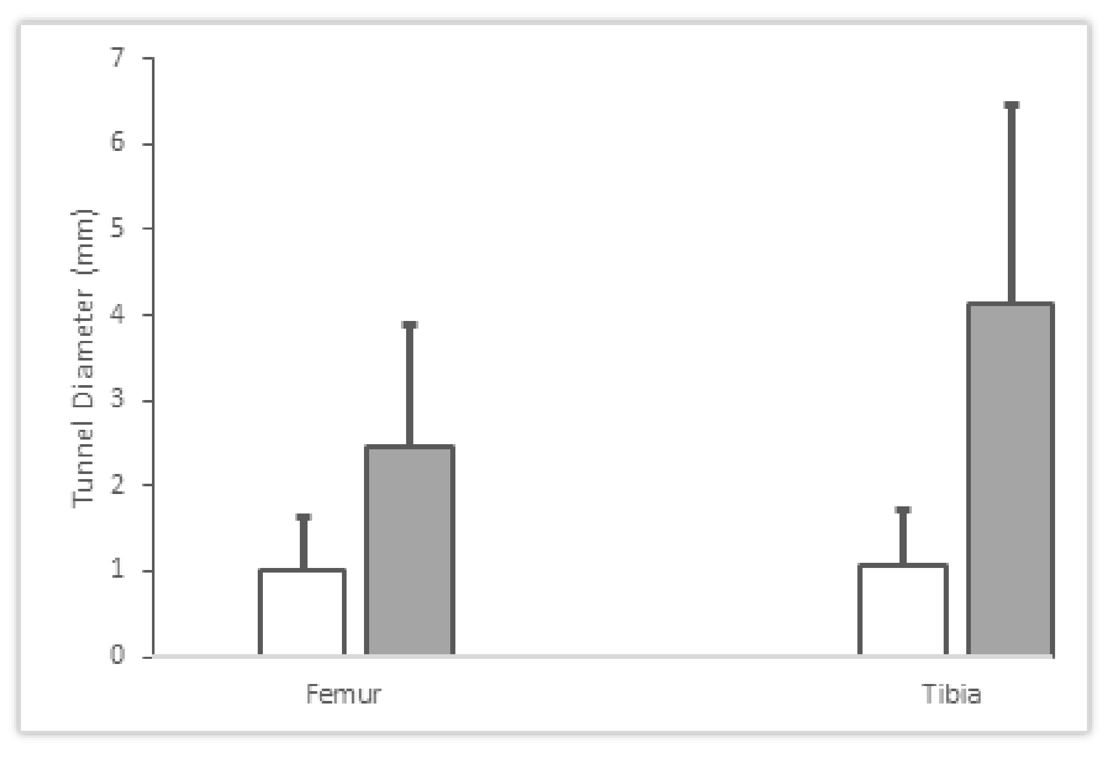 Pathophysiology 29 00031 g004