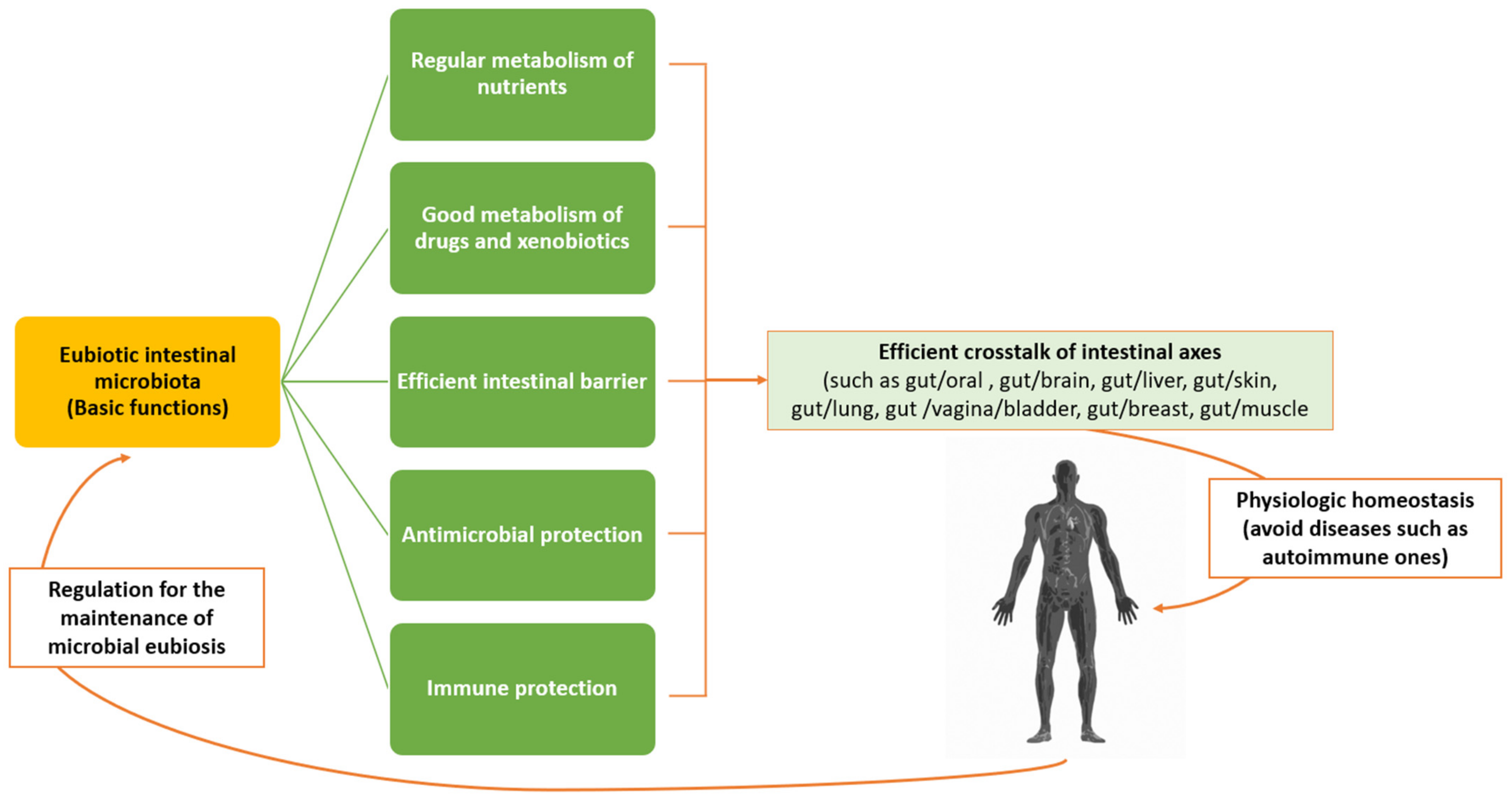 Pathophysiology 29 00041 g002 Pathophysiology 29 00041 g002