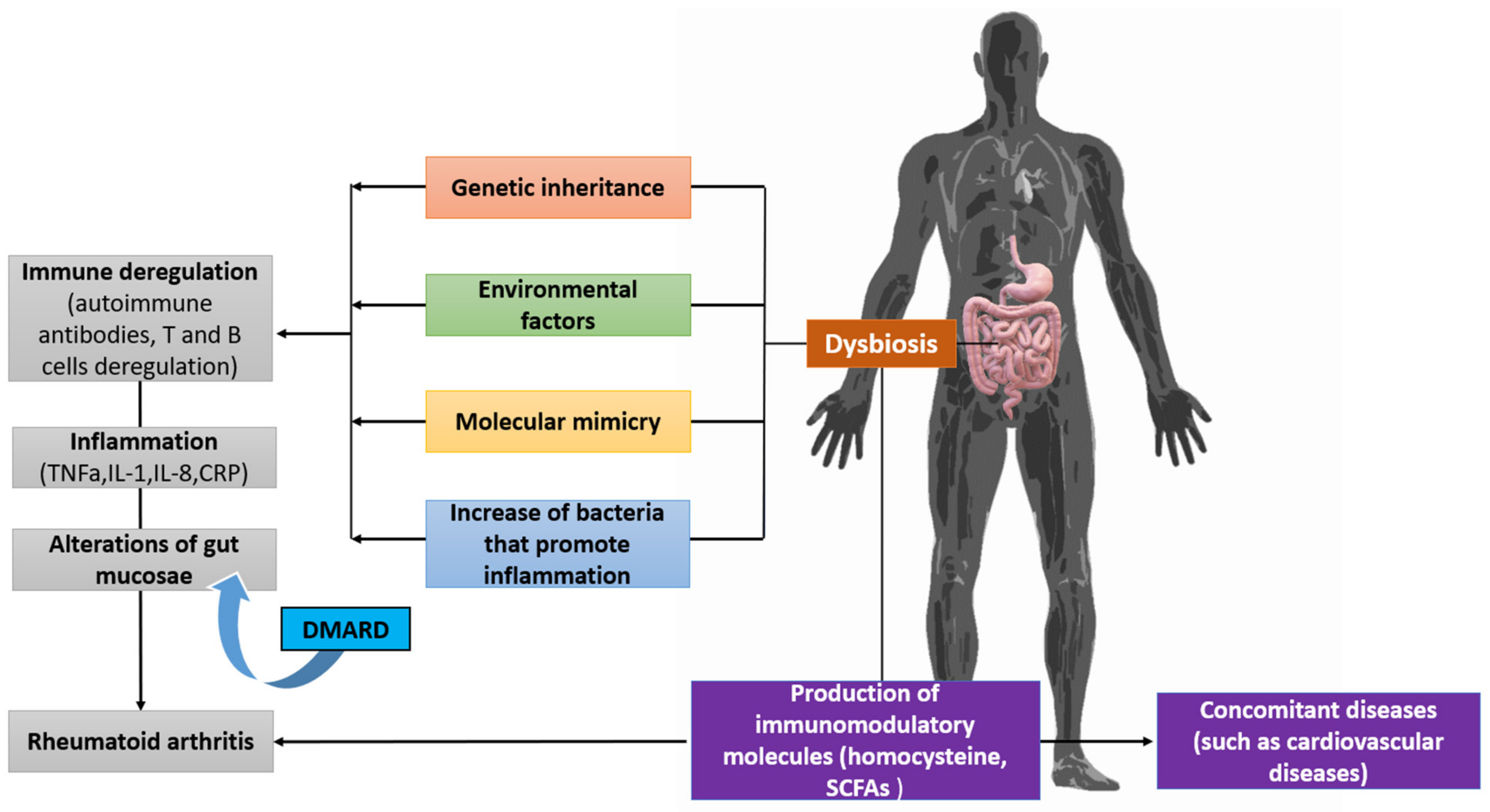 Pathophysiology 29 00041 g004 Pathophysiology 29 00041 g004