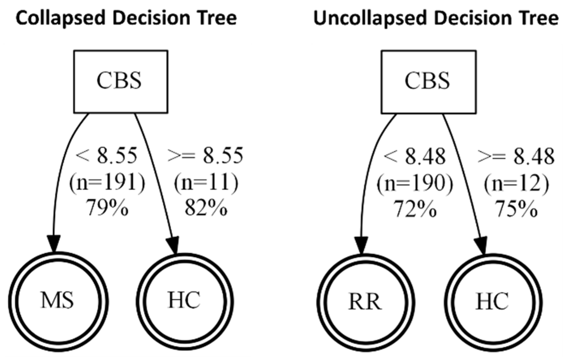 Pathophysiology 29 00044 g005