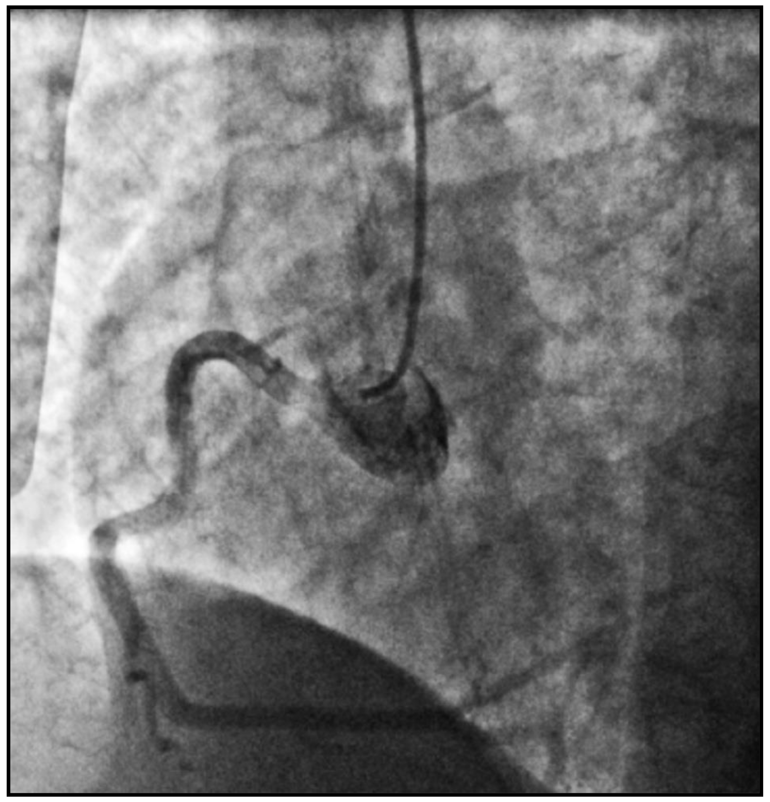 Pathophysiology 29 00047 g001