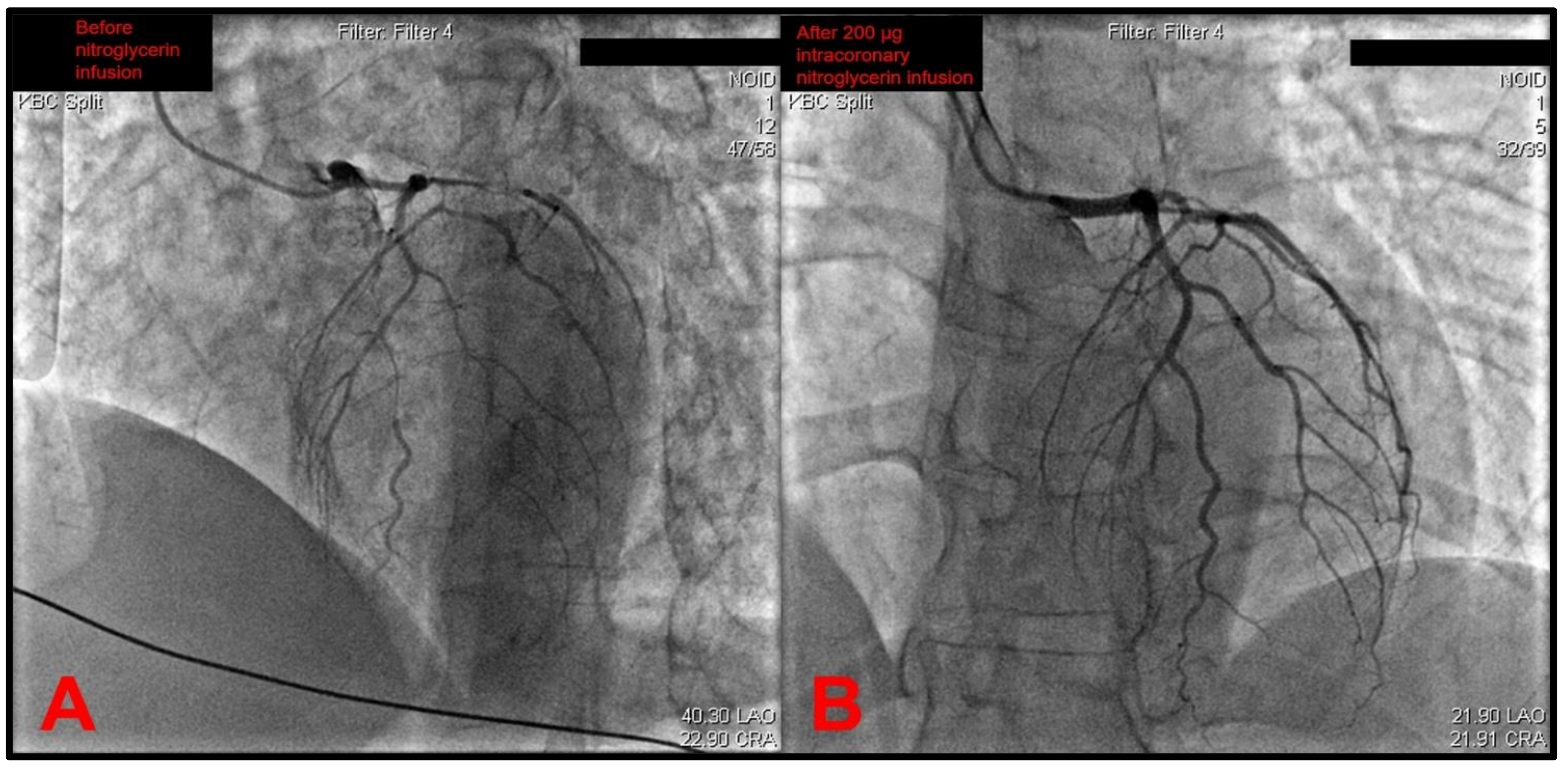 Pathophysiology 29 00047 g002