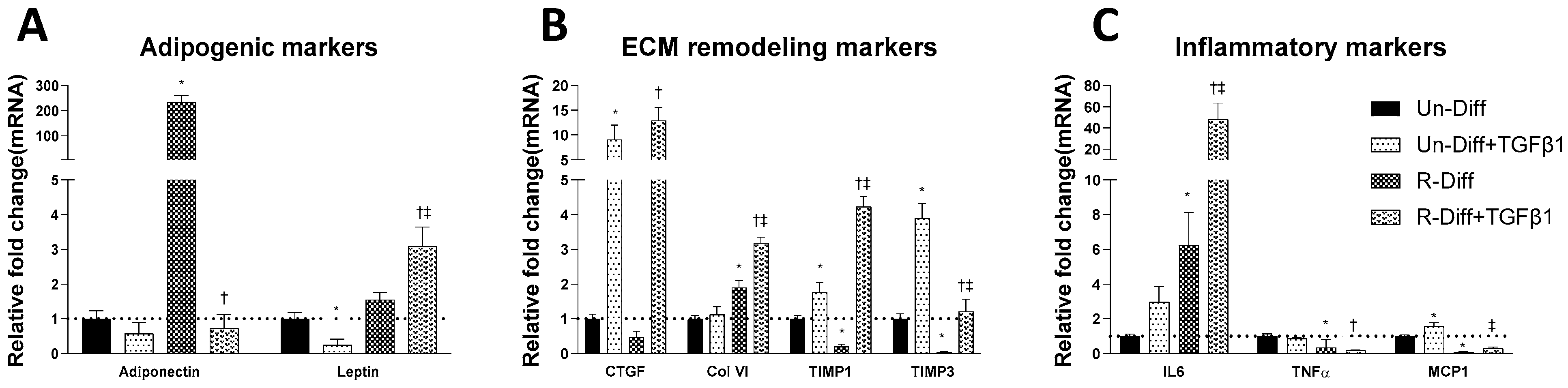 Pathophysiology 29 00050 g002 Pathophysiology 29 00050 g002