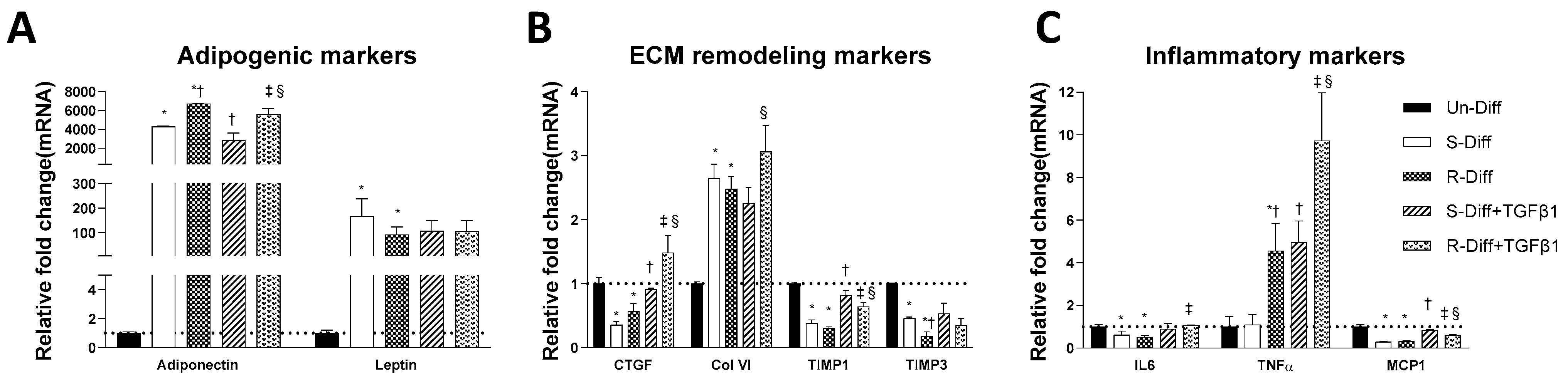Pathophysiology 29 00050 g003 Pathophysiology 29 00050 g003