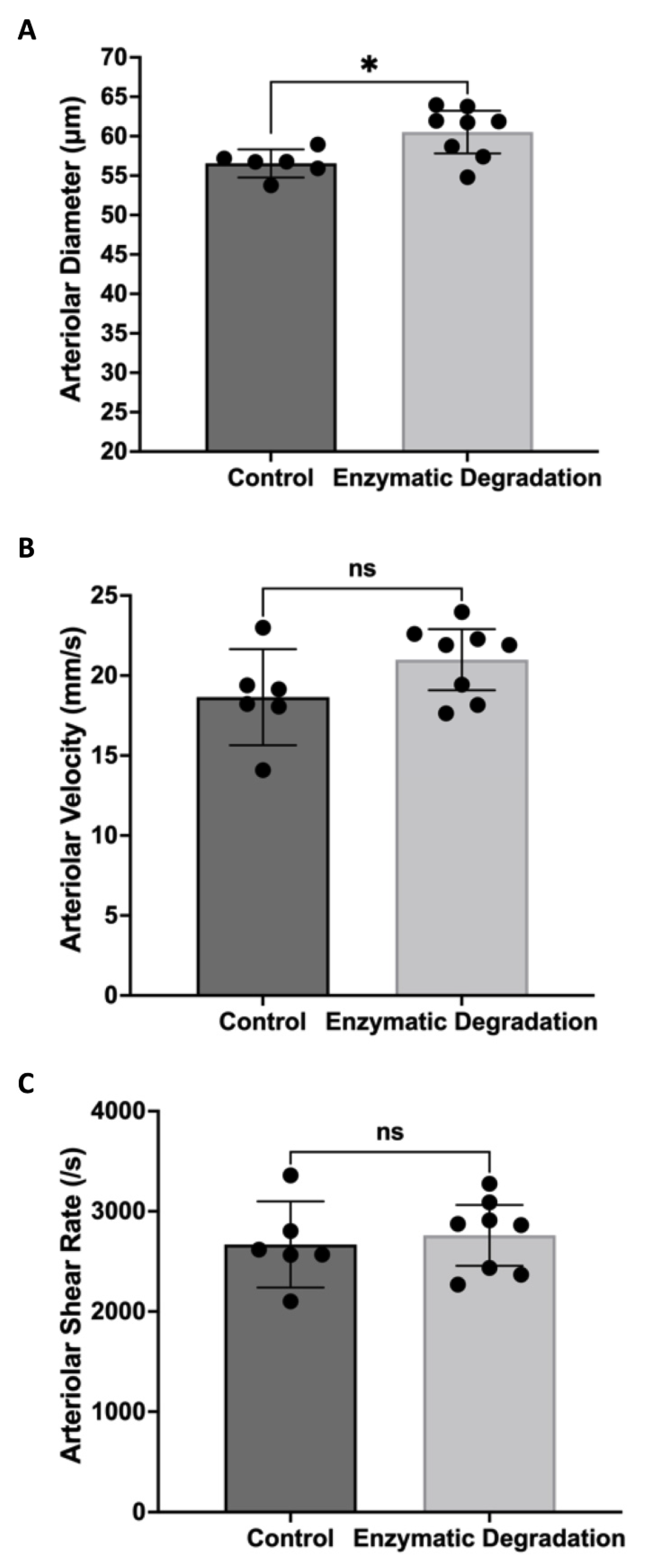 Pathophysiology 29 00052 g002