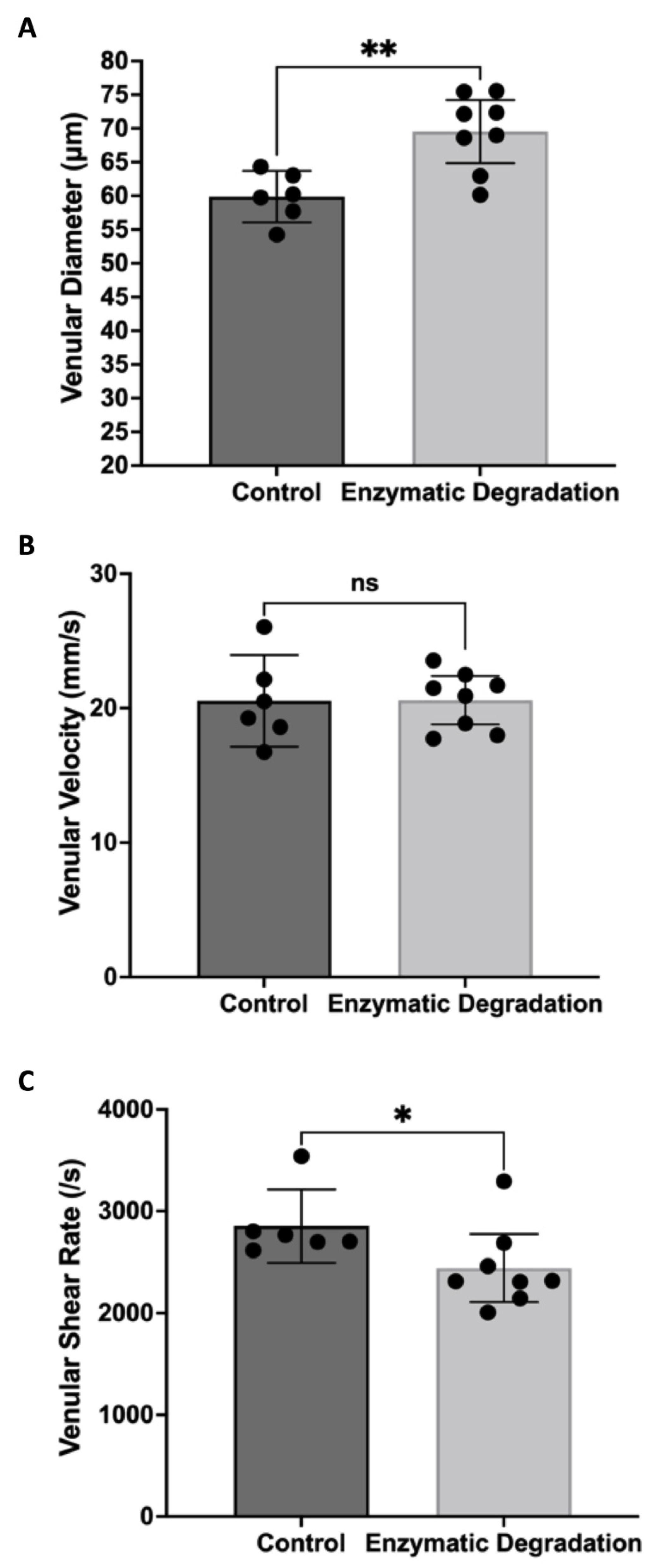 Pathophysiology 29 00052 g003